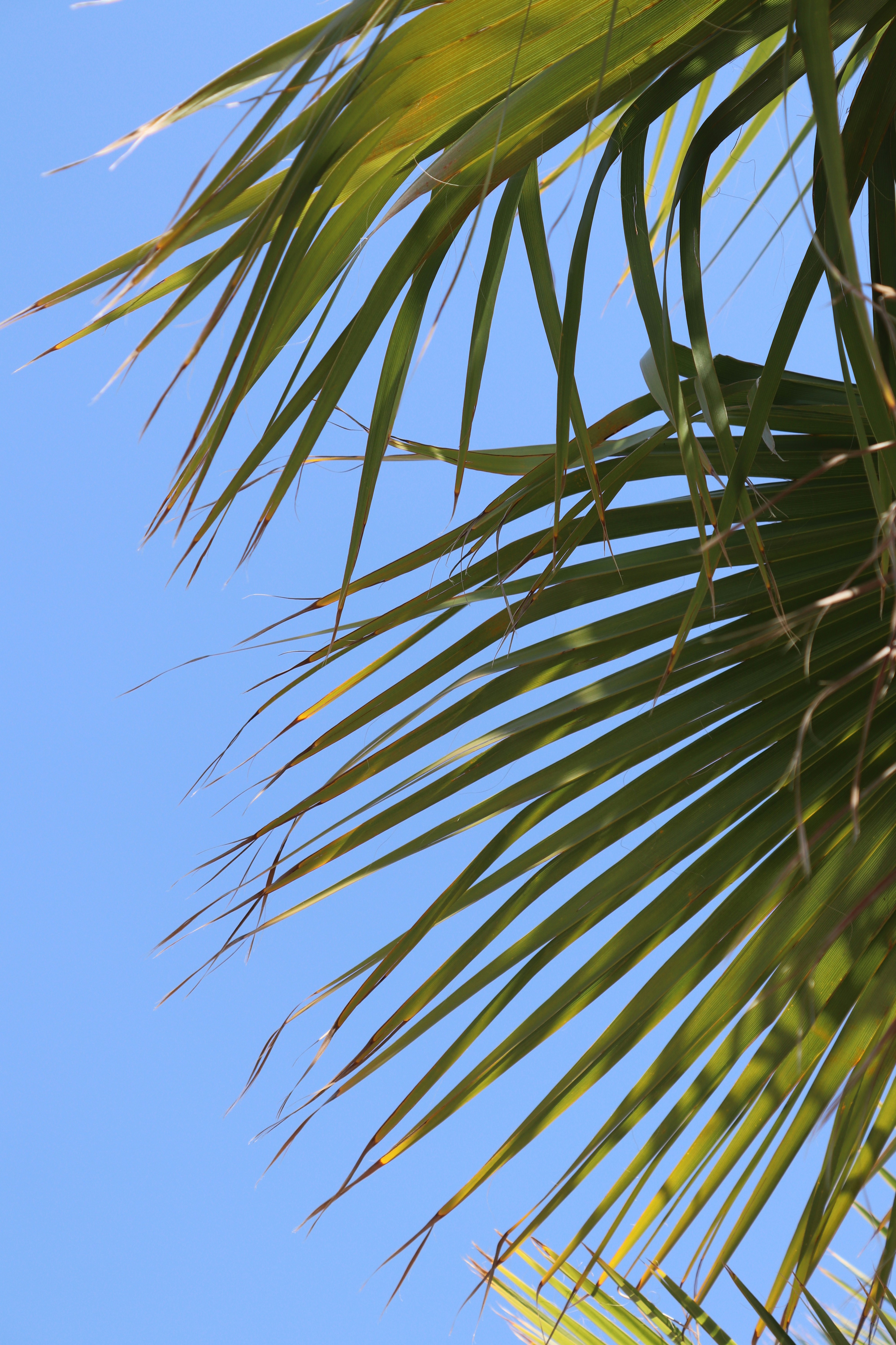 Photo by jonesyincphoto