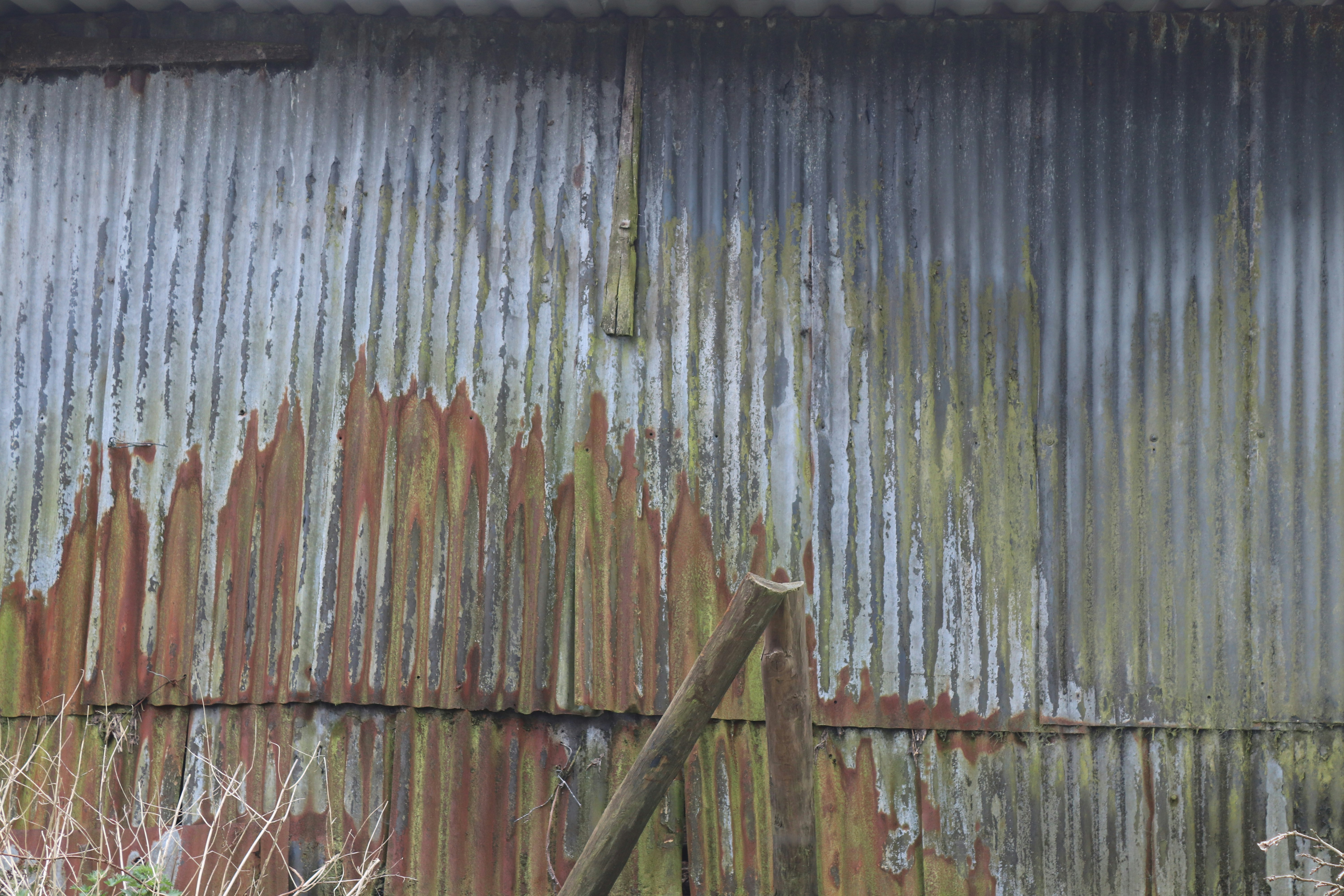 Photo by jonesyincphoto