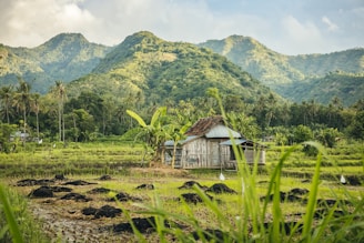 a house in a field with mountains in the background
