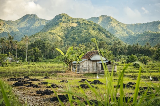 a house in a field with mountains in the background