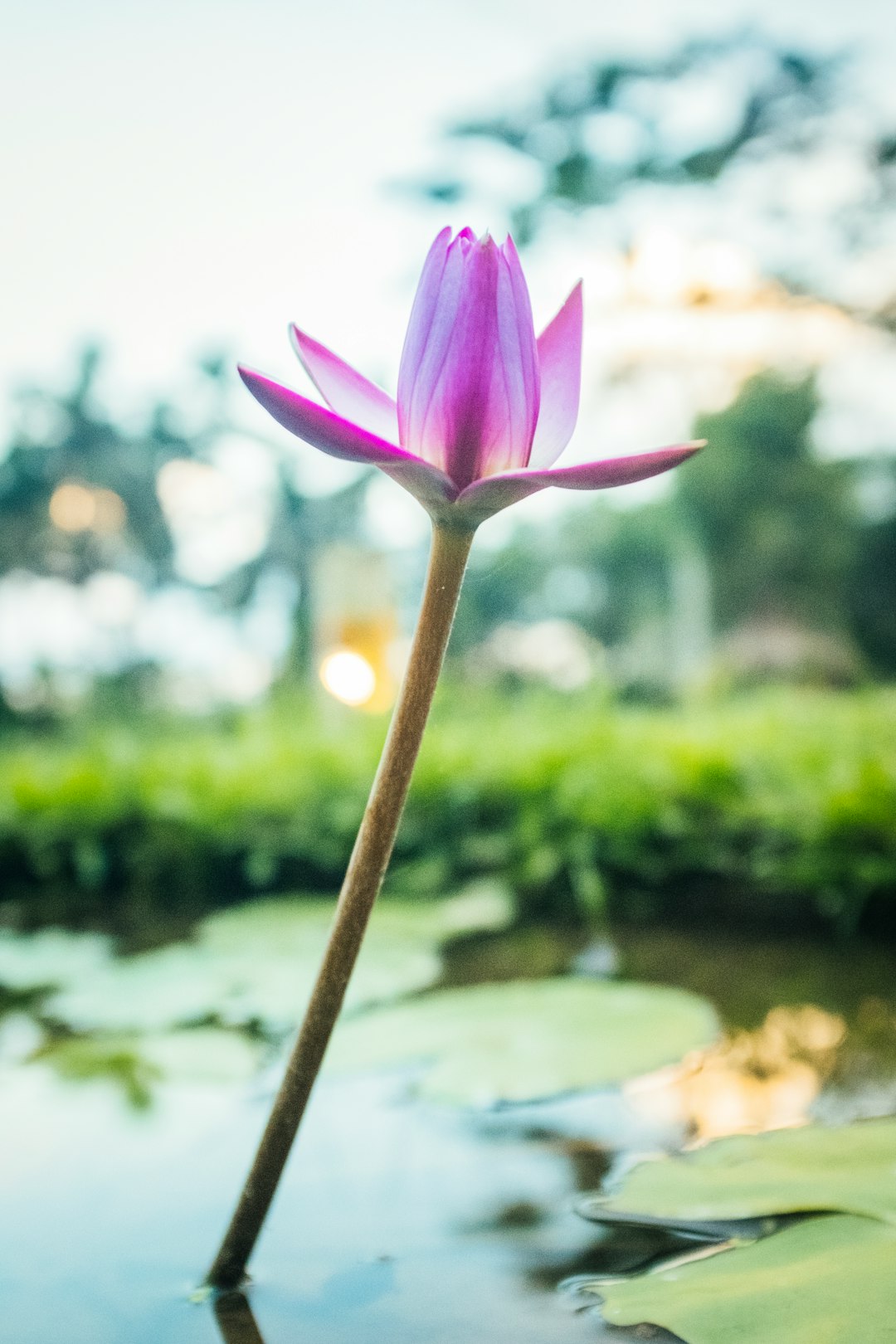 Natural landscape photo spot Ubud Pecatu