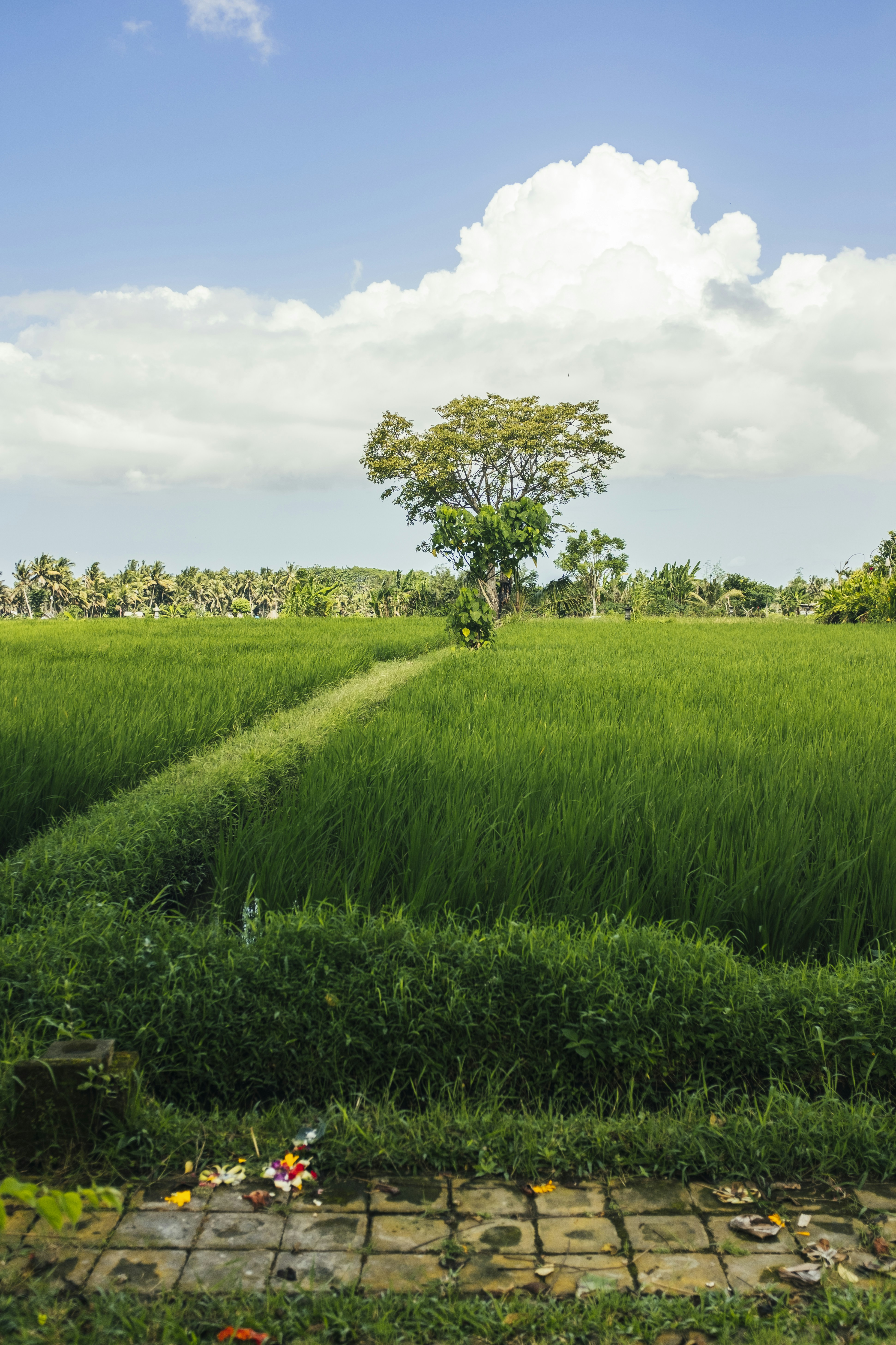 Photo by bernardhermant