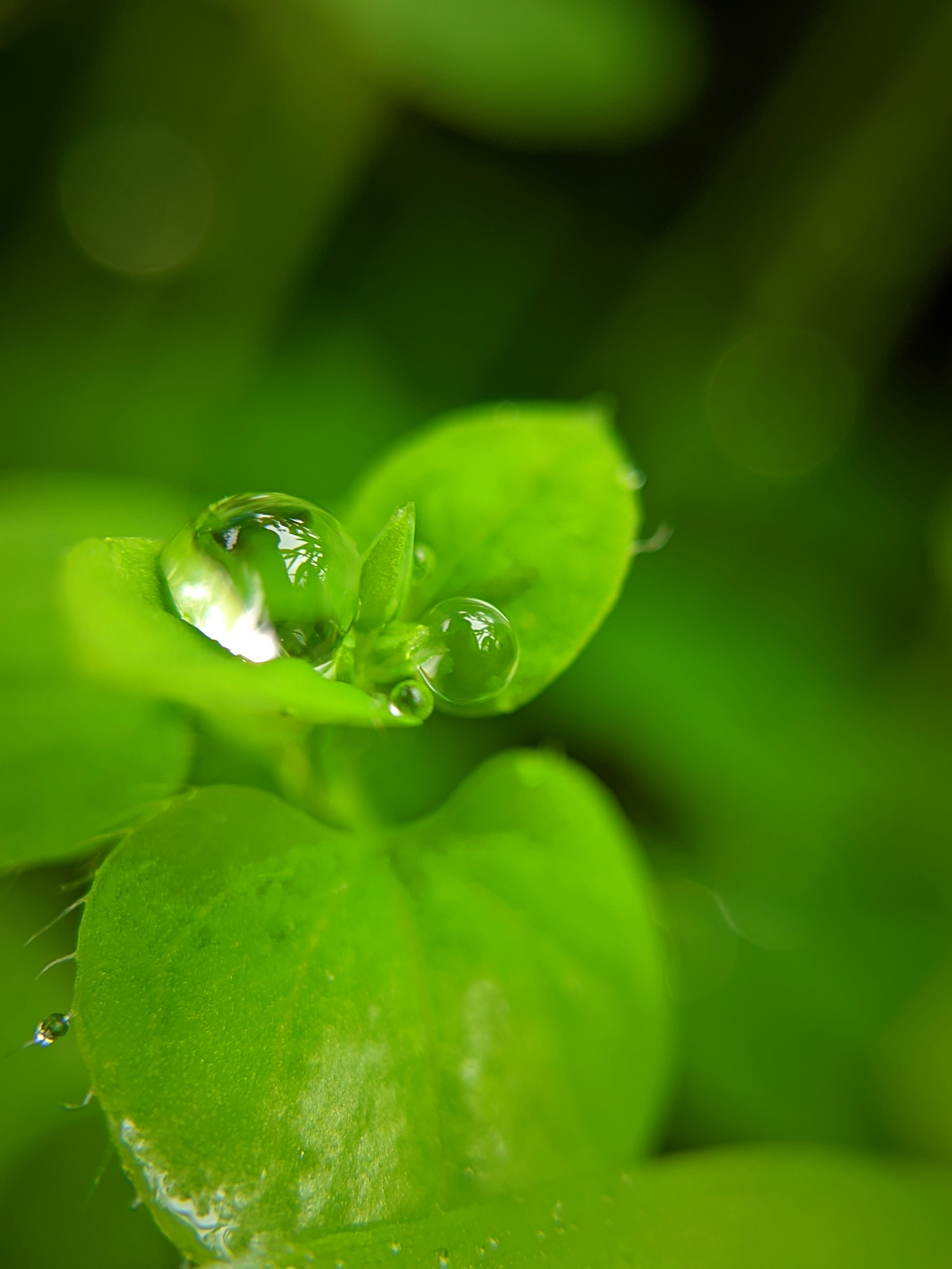 Photo by chiranthpoojari