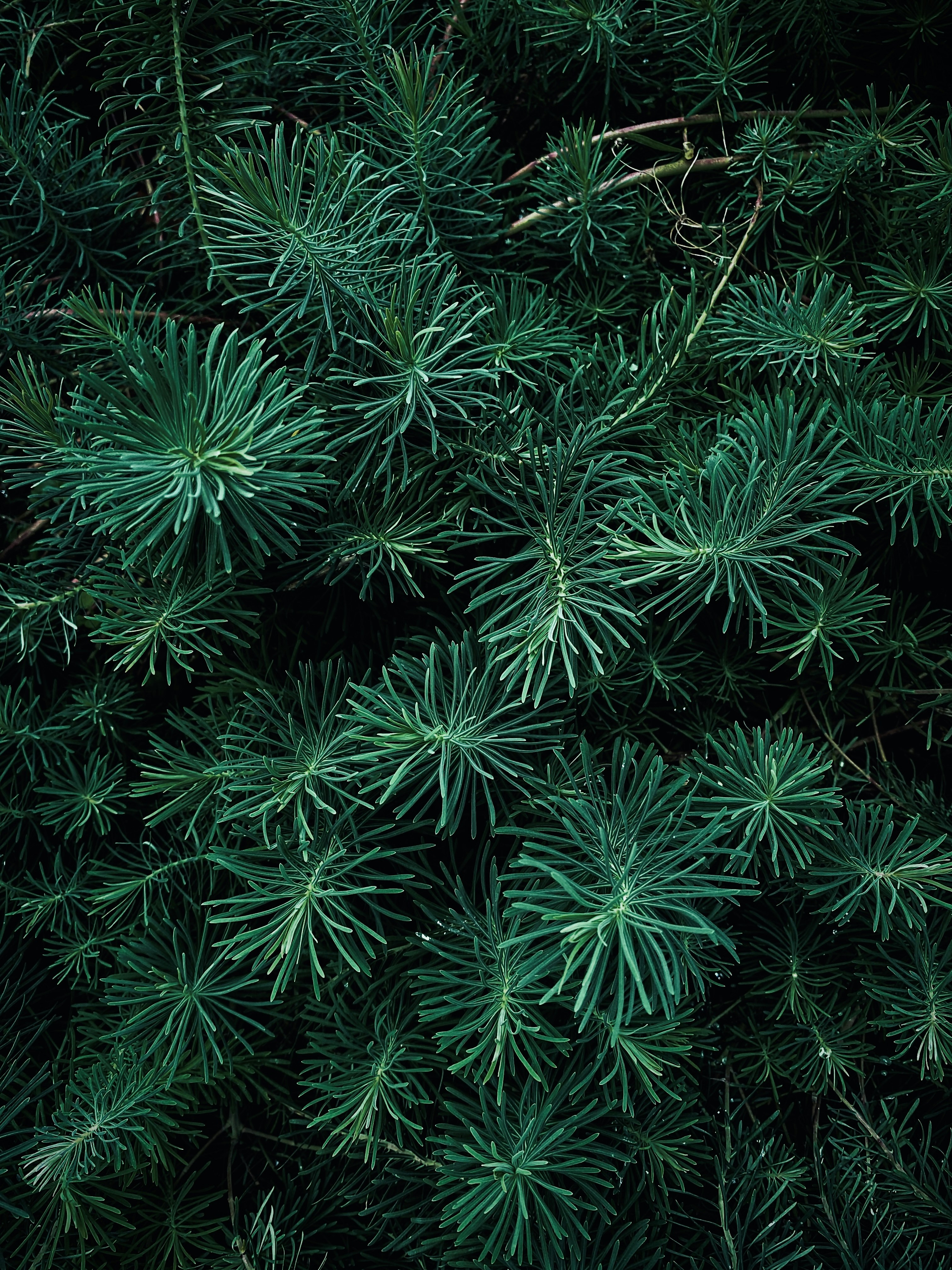 Photo by eugene_golovesov