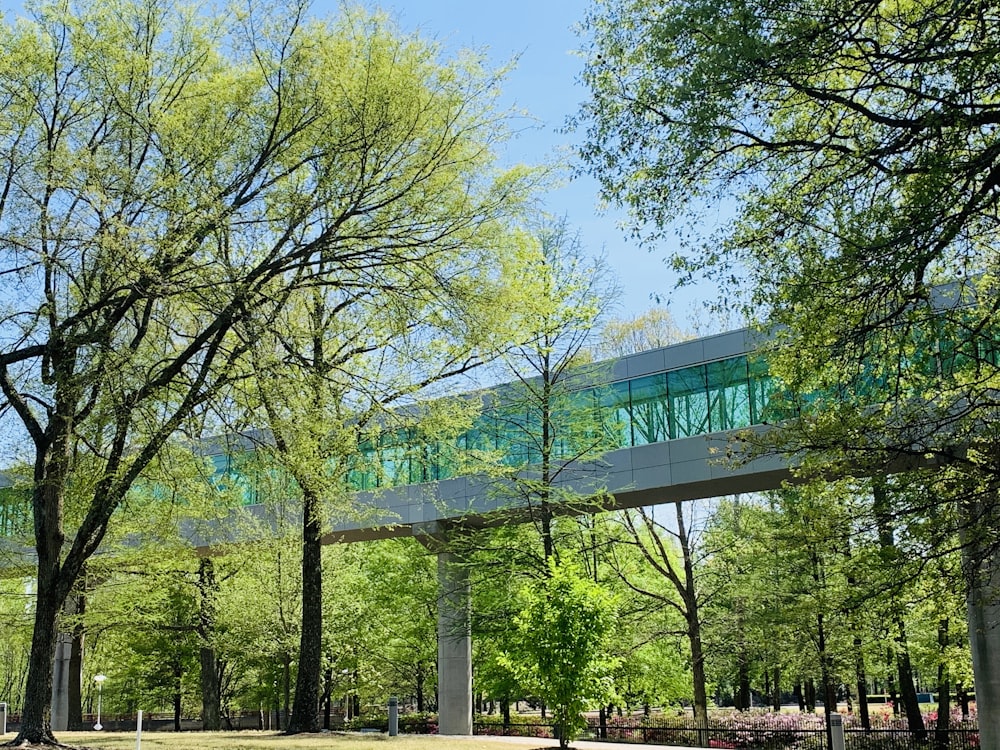 a bridge over a river