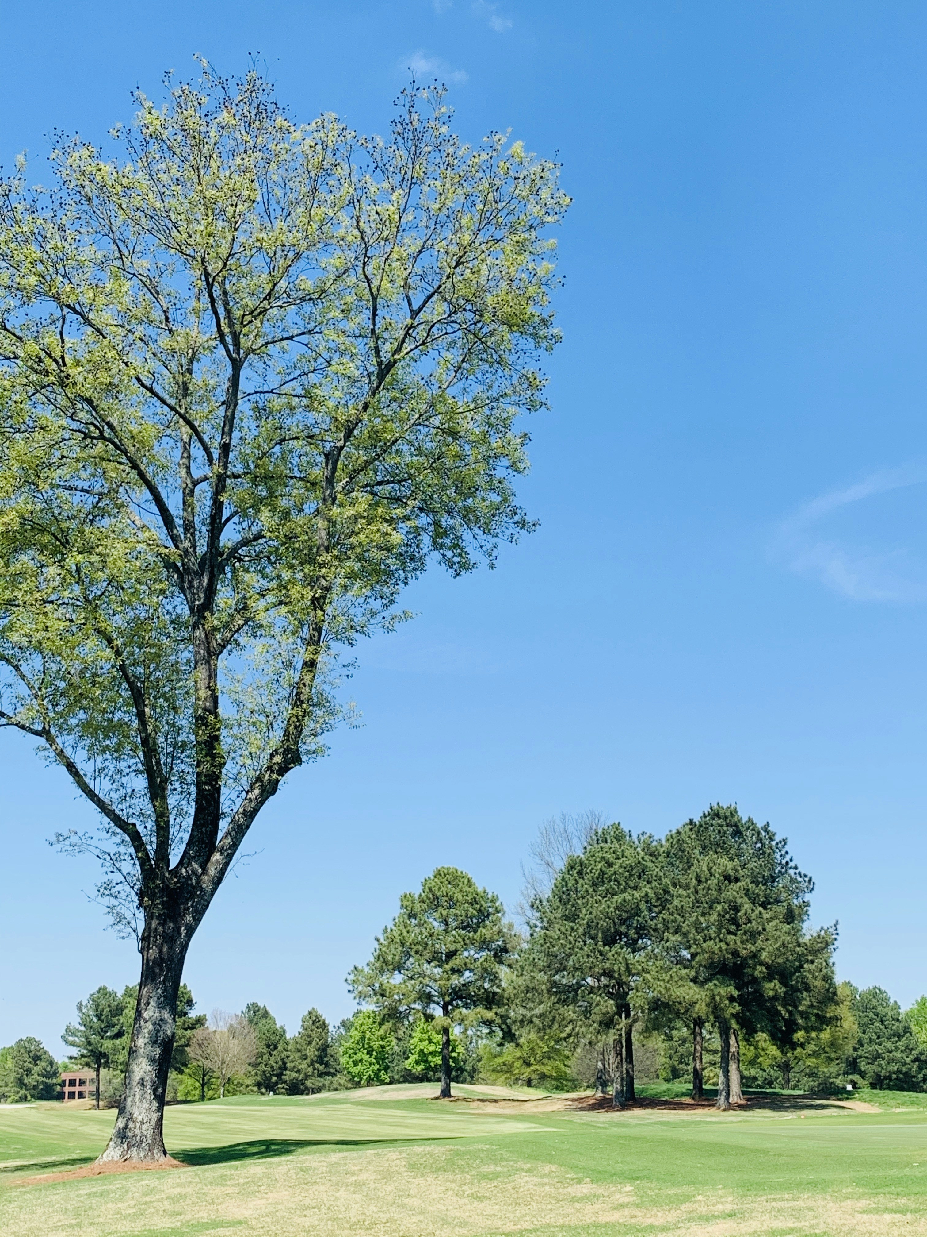 Photo by capturedbyk