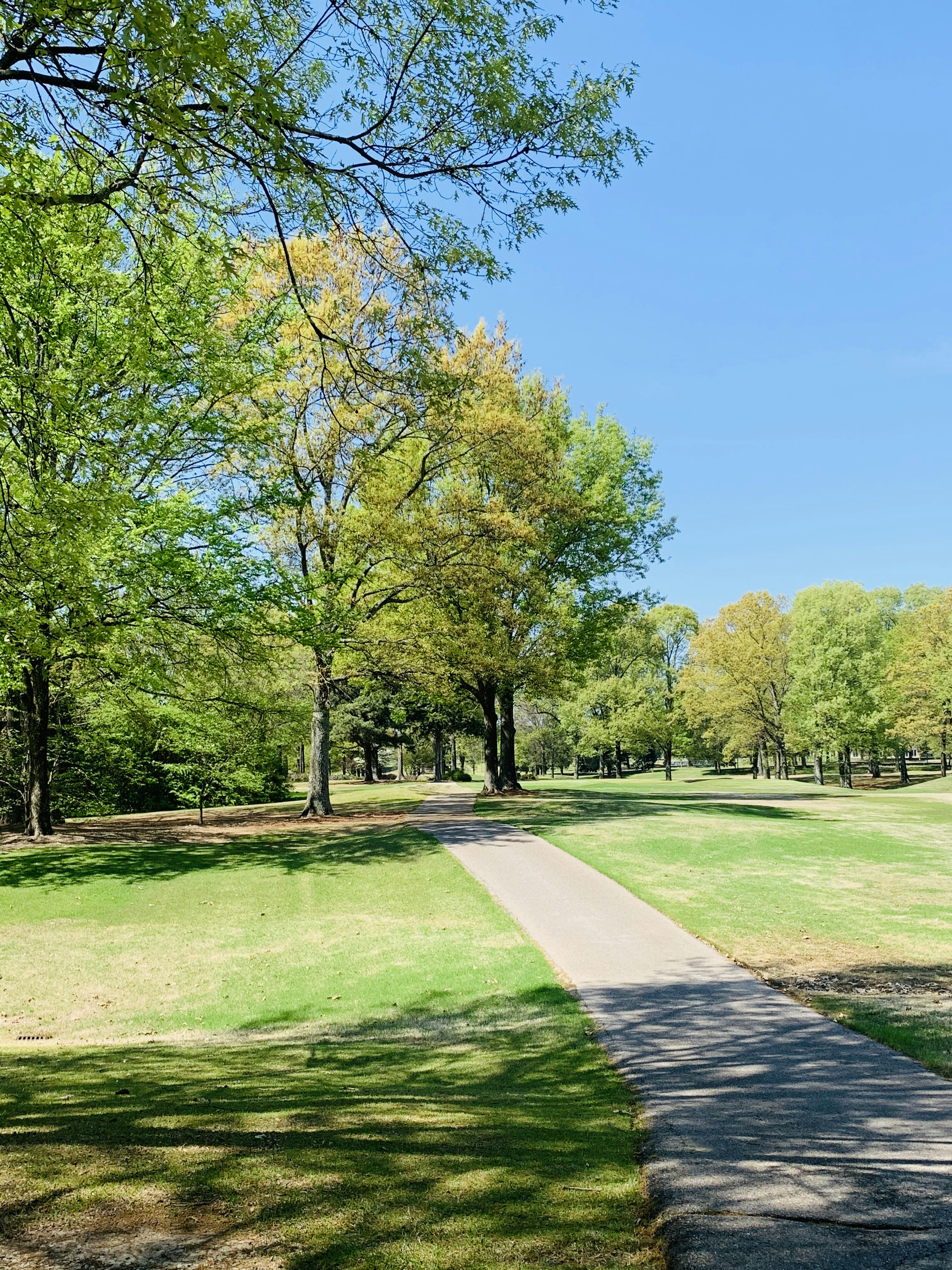 Photo by capturedbyk