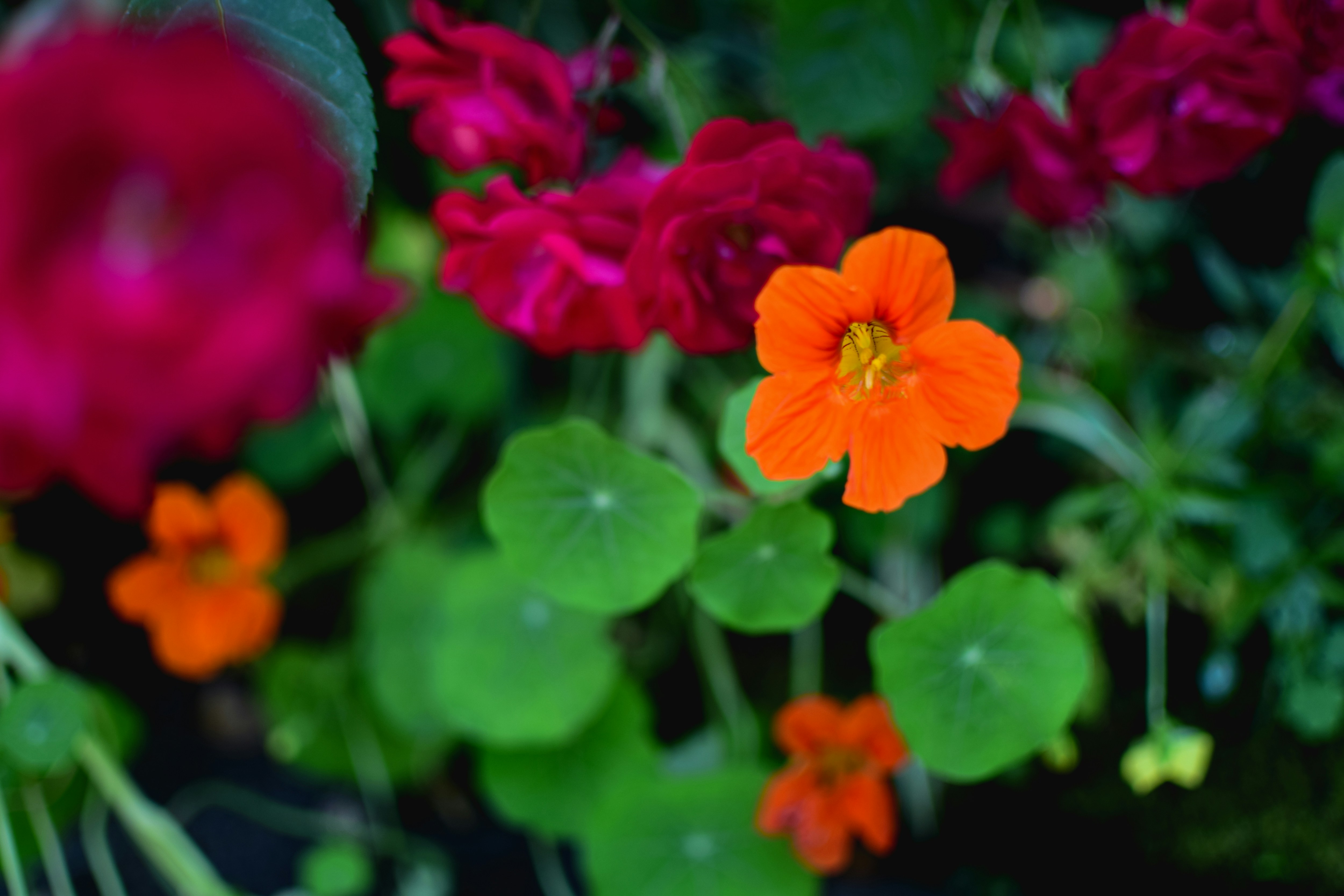 Photo by hosseinrafiee