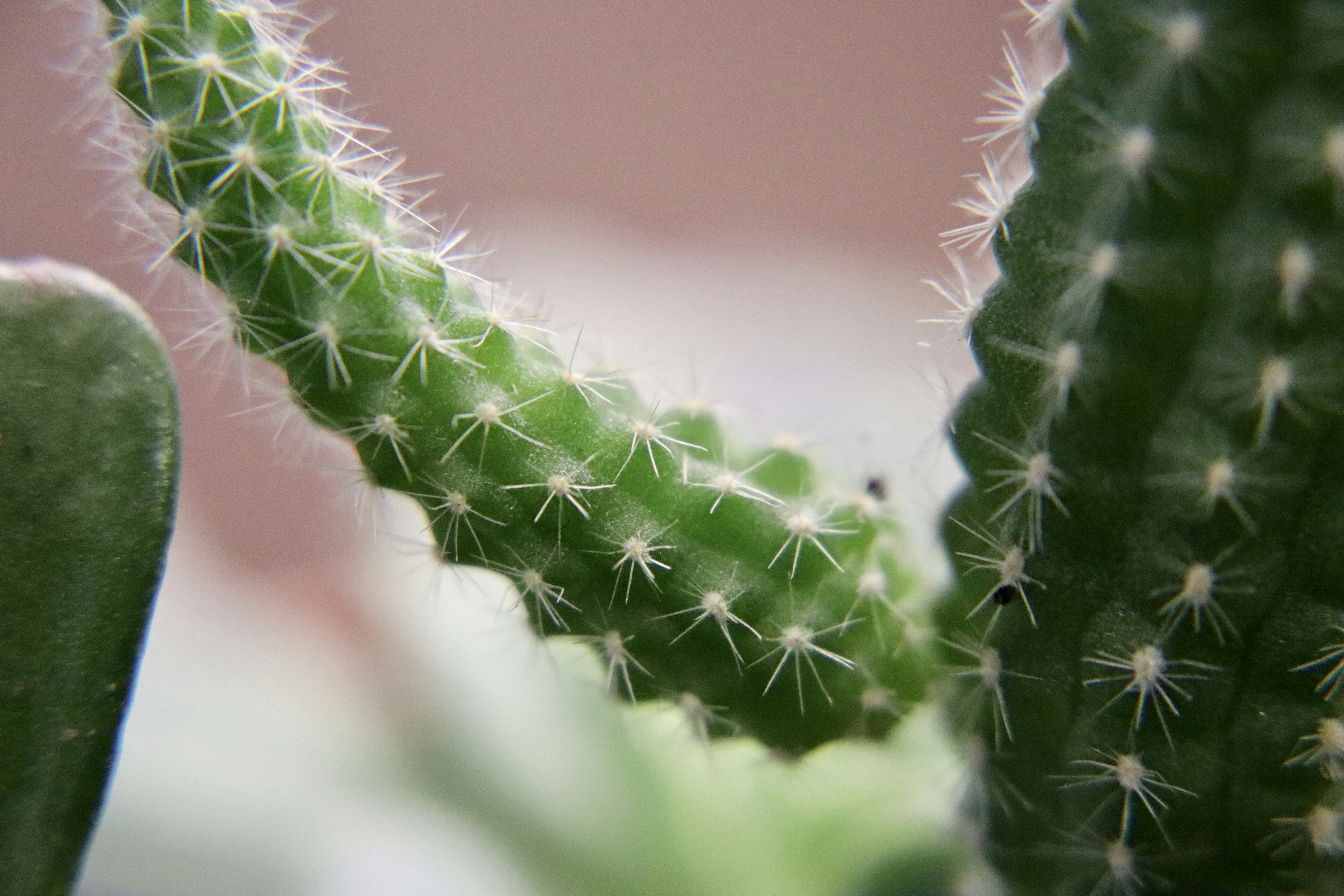 Photo by capturedbyk