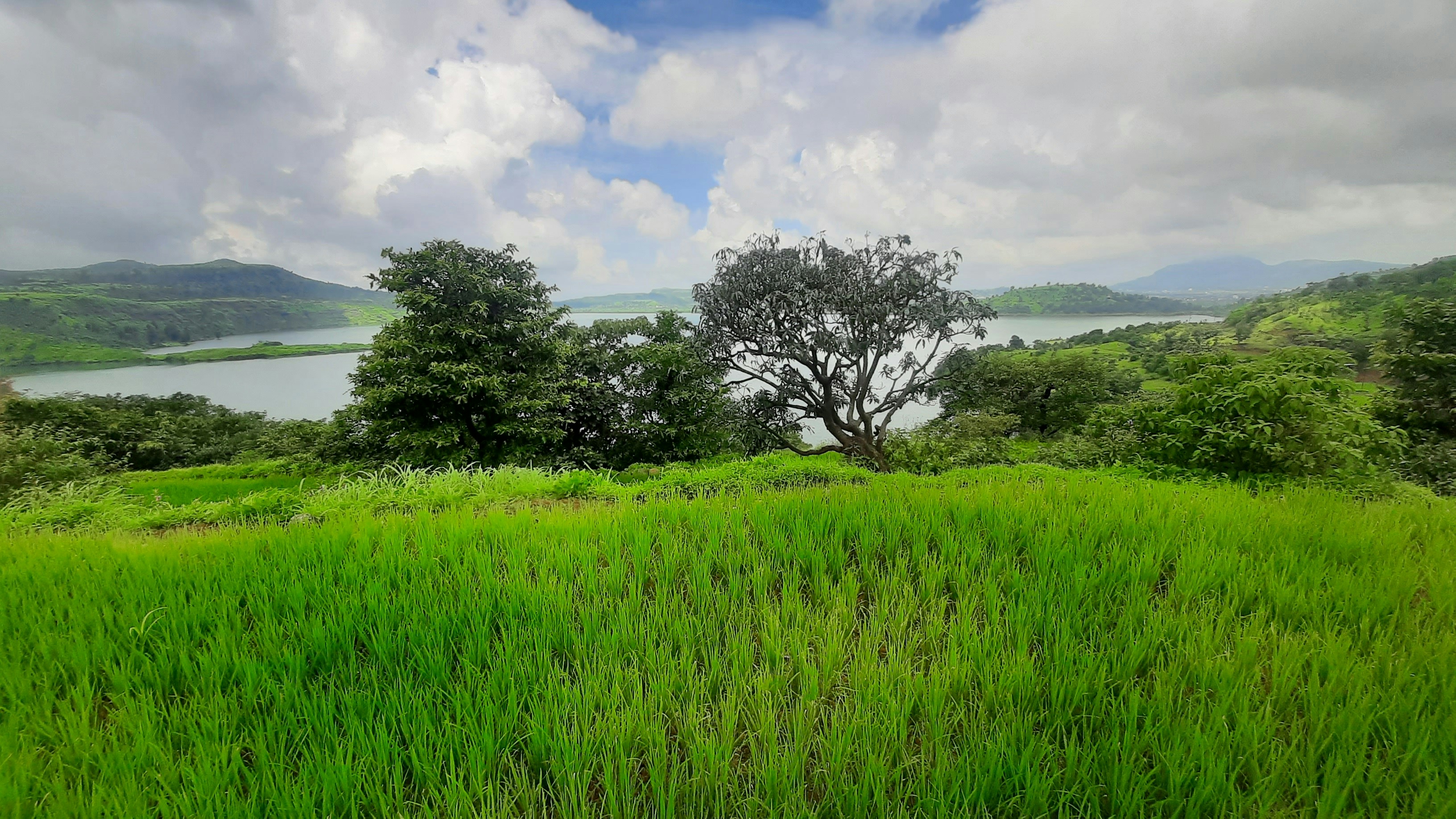 Photo by aman_virani