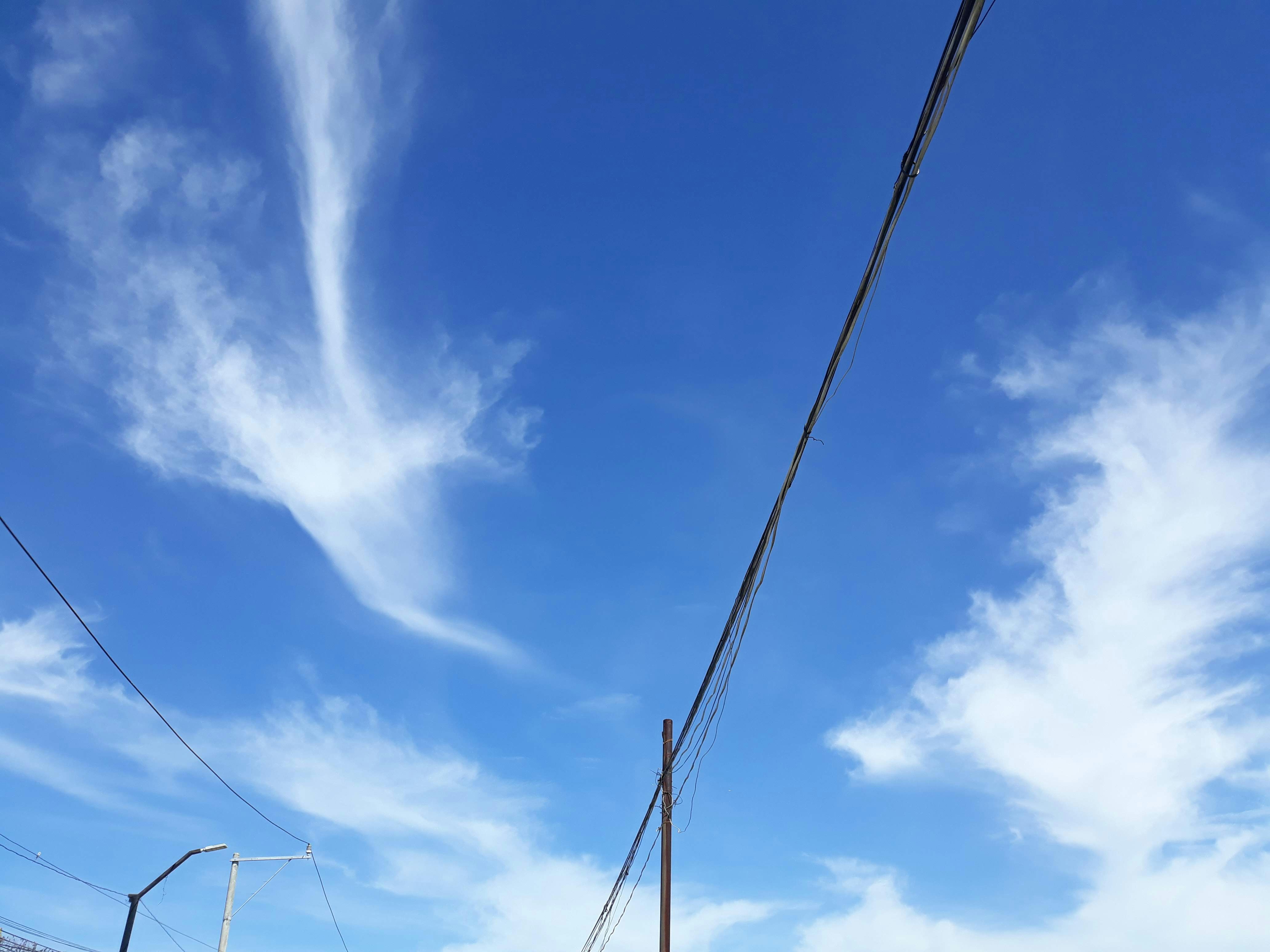 Photo by zs_intricate