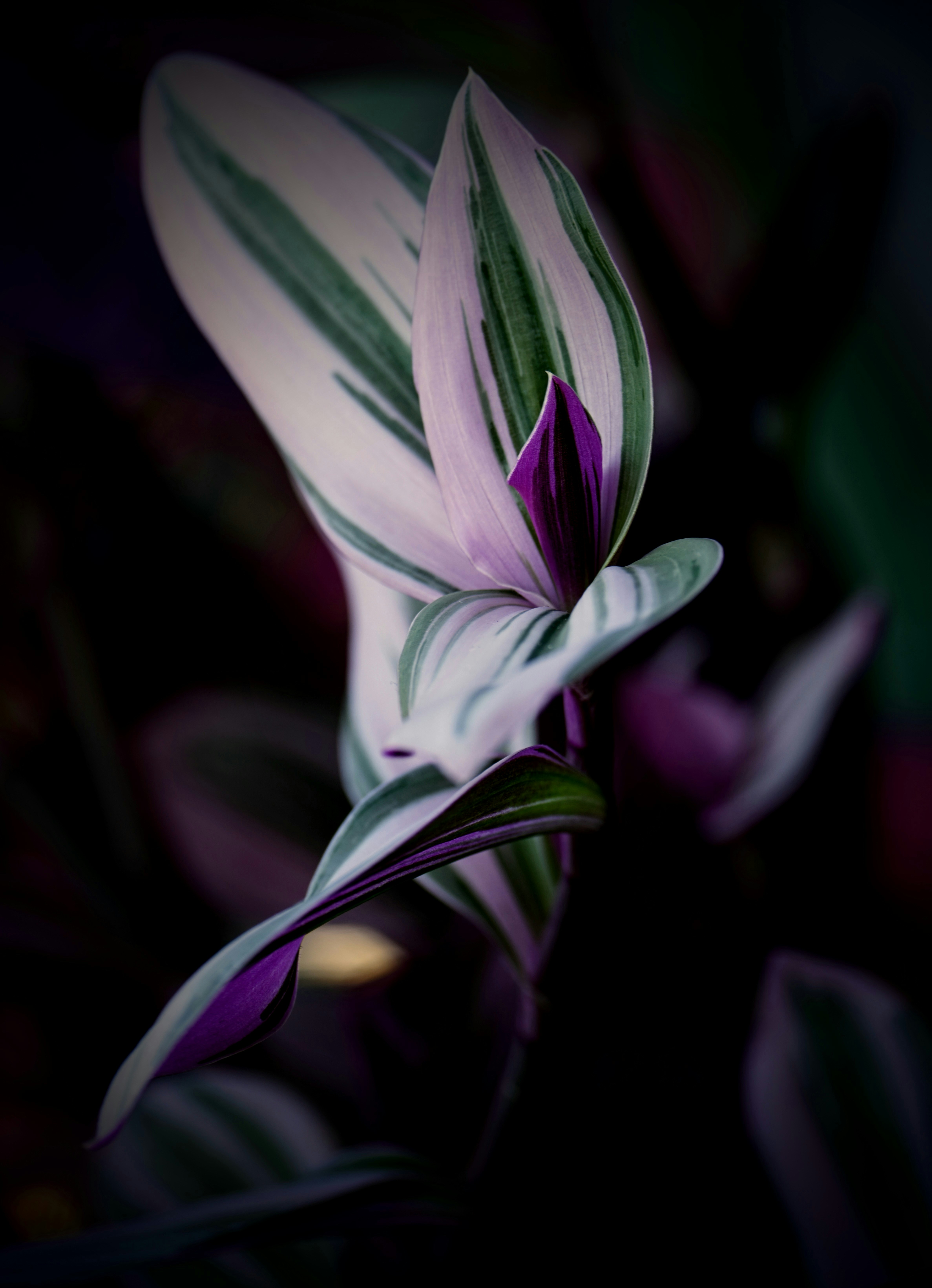 La Spezia – Weather & Seasonal Patterns