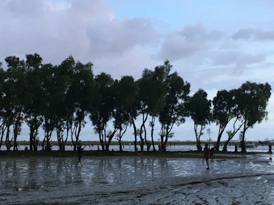 Community members planting trees along a waterway.