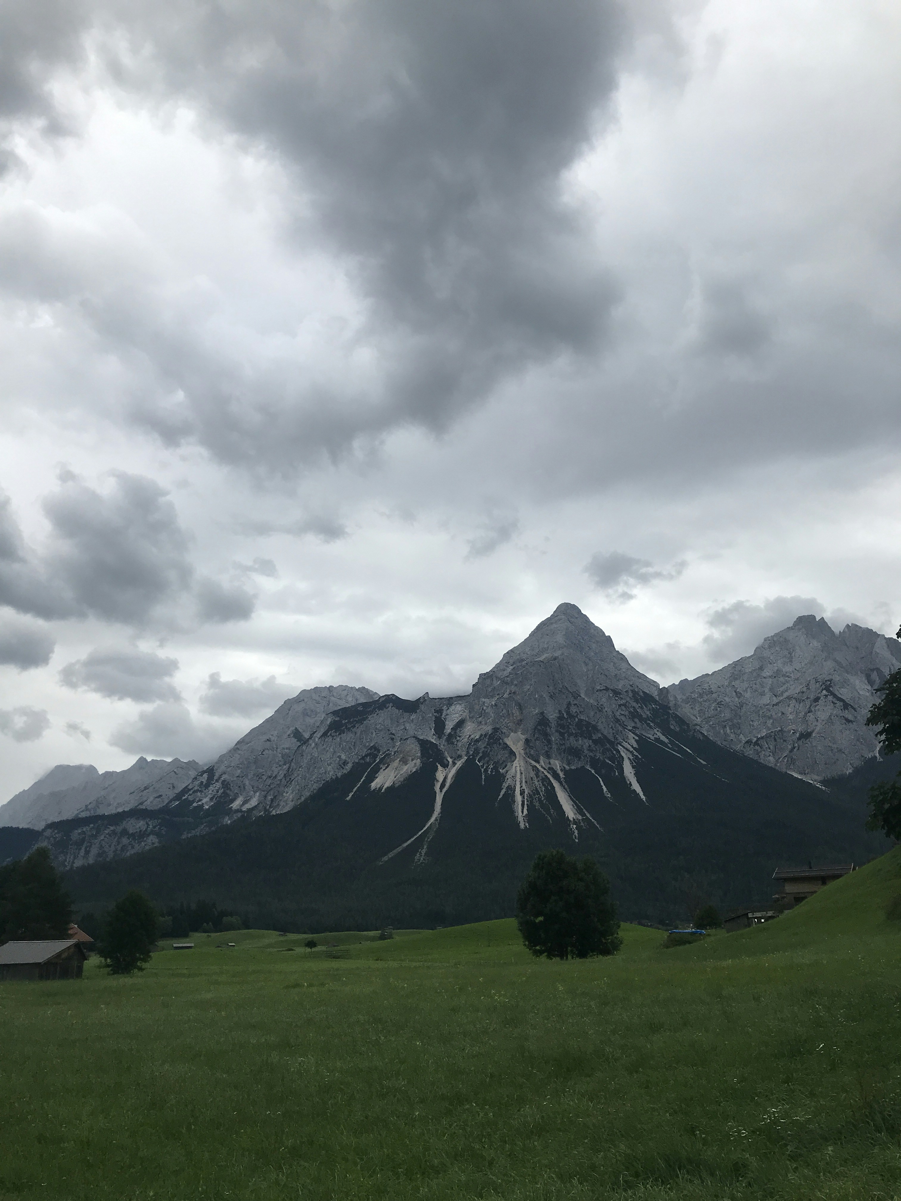 a grassy field with mountains in the background
