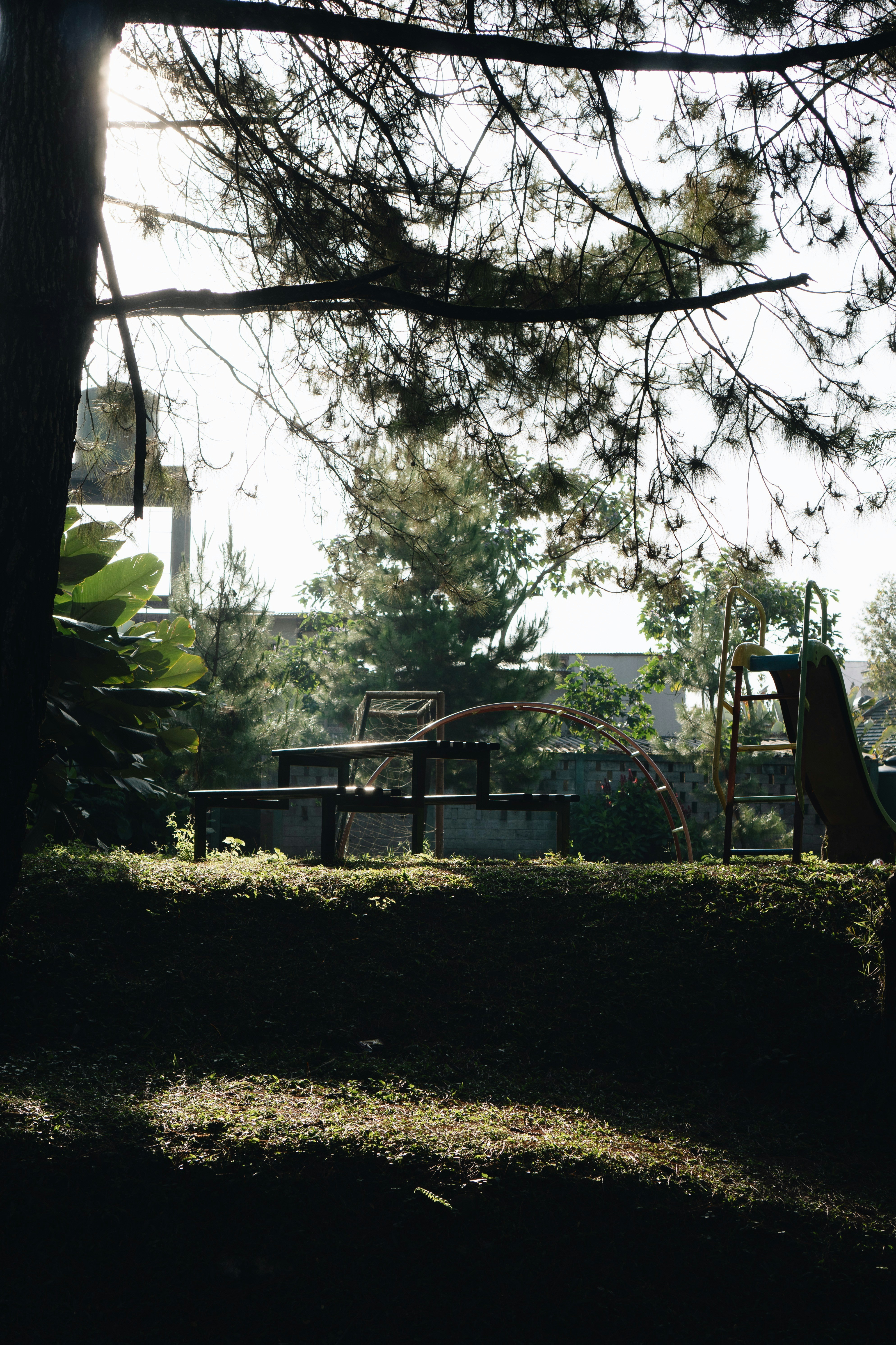 Photo by nazmijavier