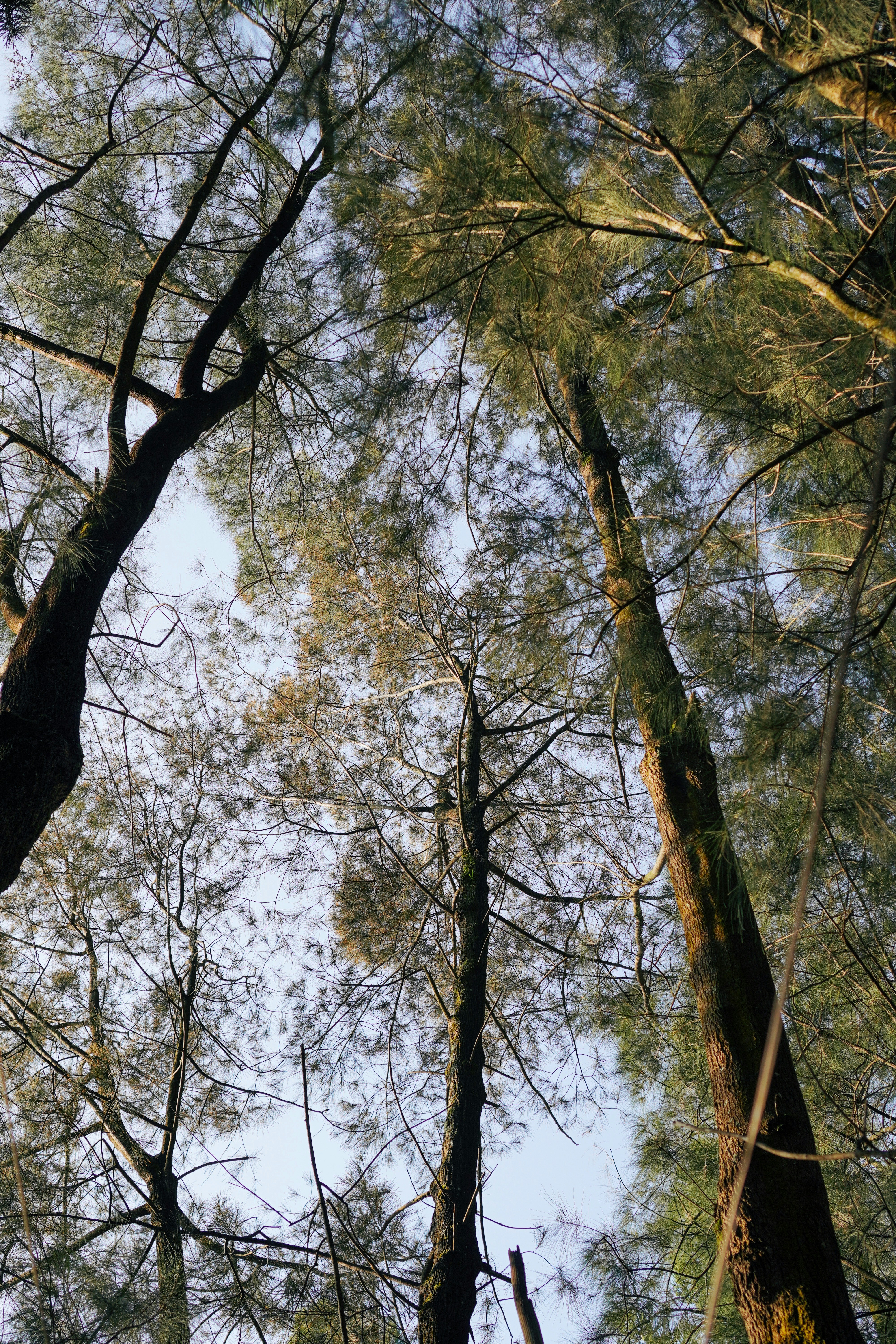 Photo by nazmijavier