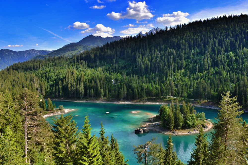 a lake surrounded by trees and mountains