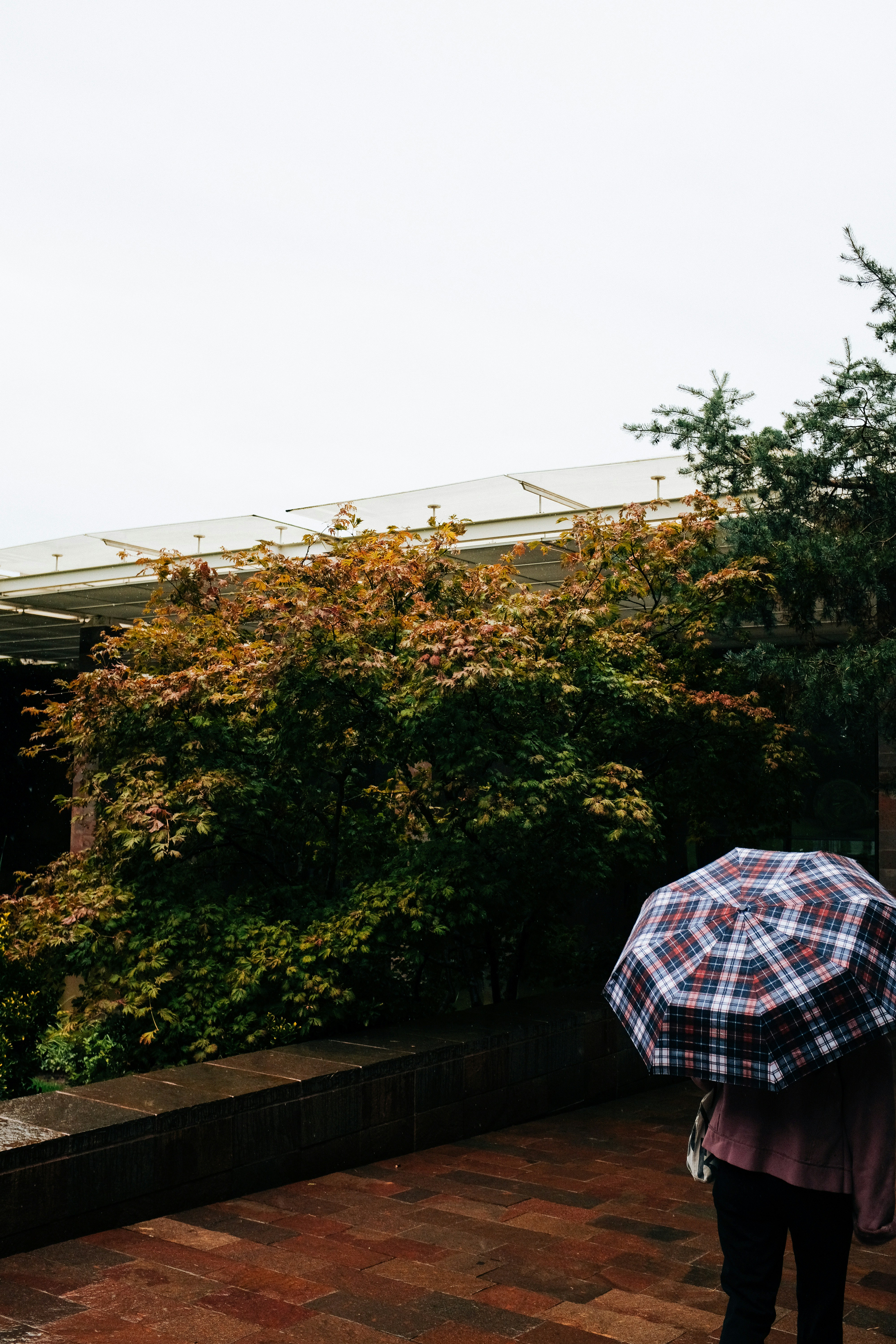 Photo by adrienolichon