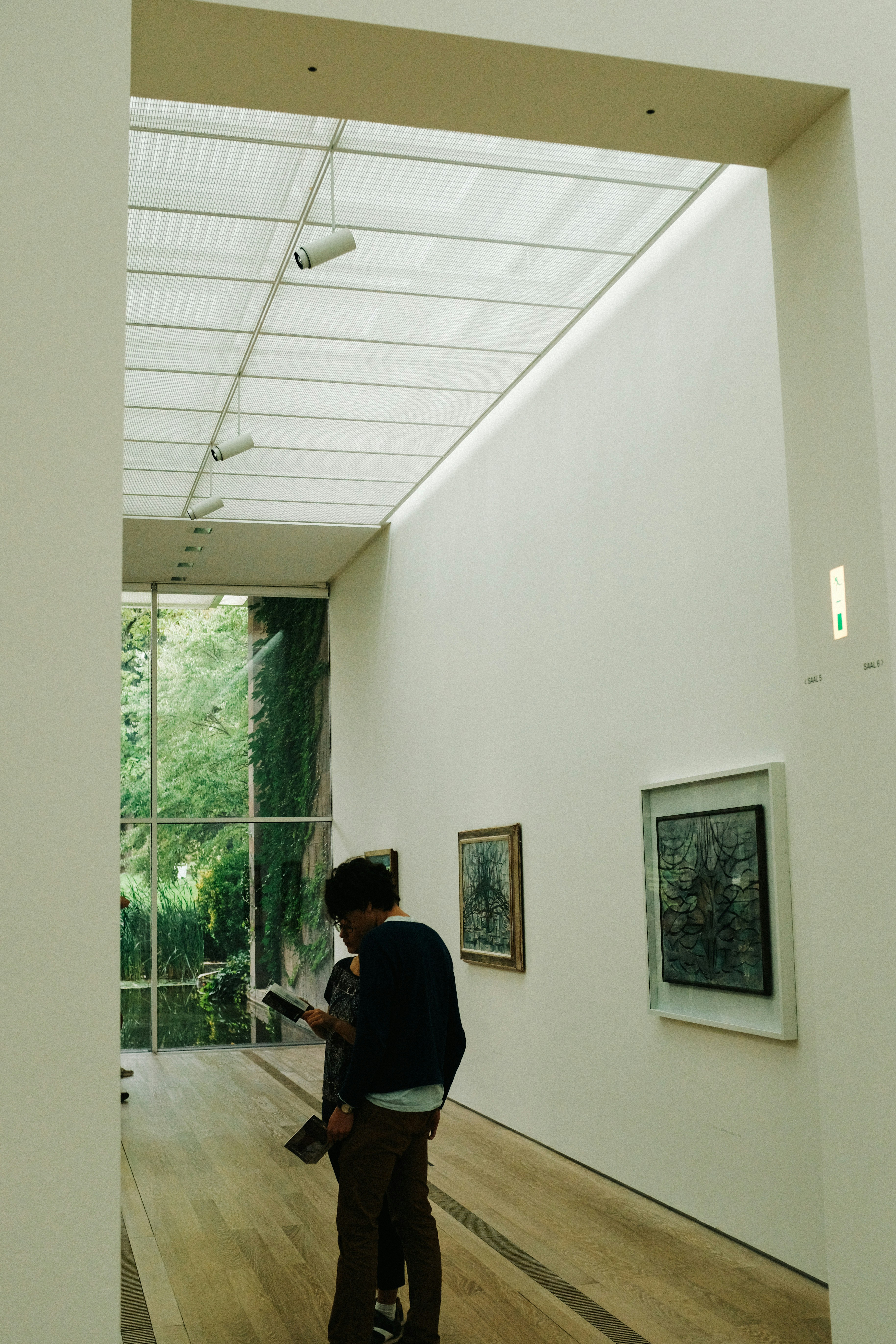 Guided Viewing Session Preview