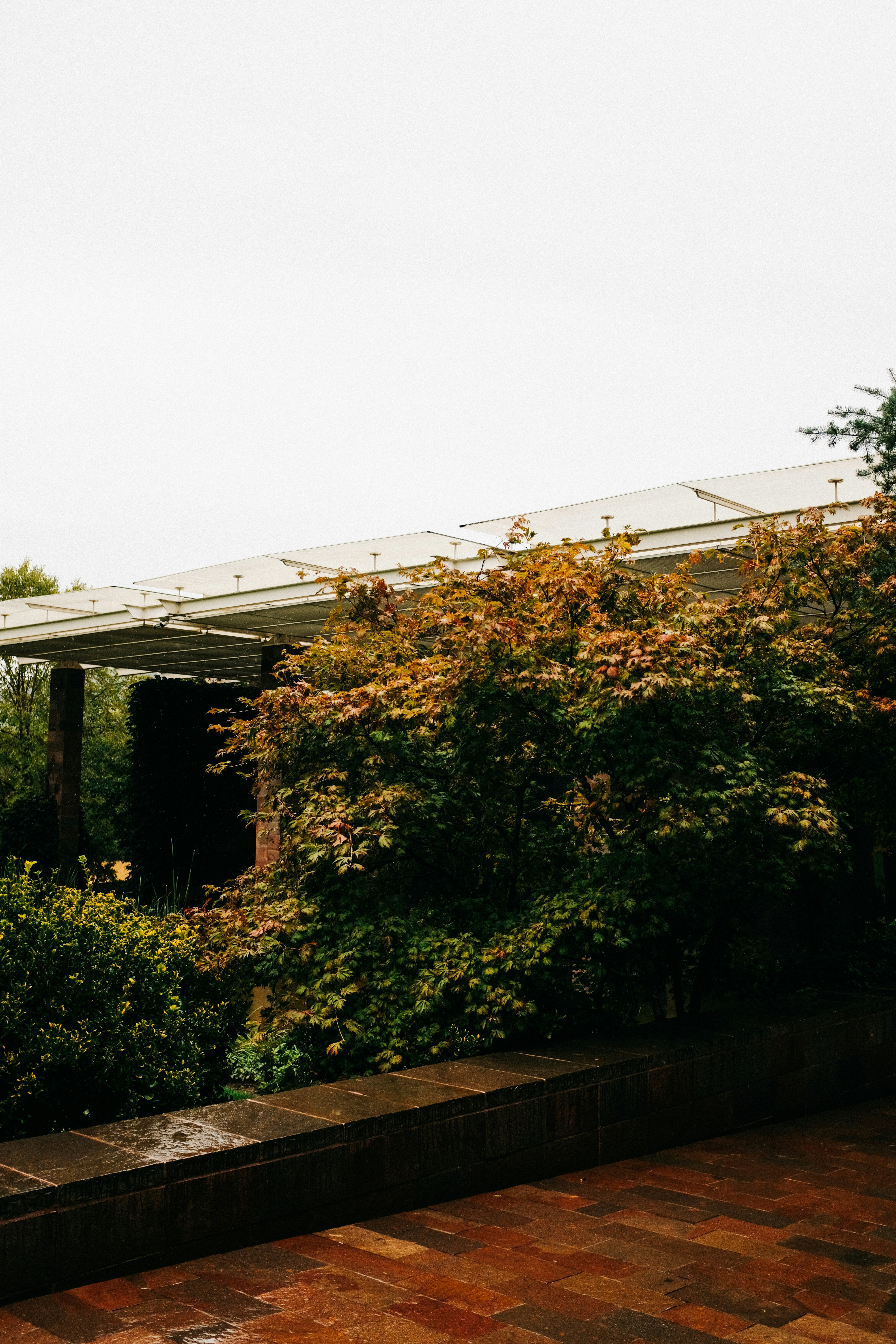 Photo by adrienolichon