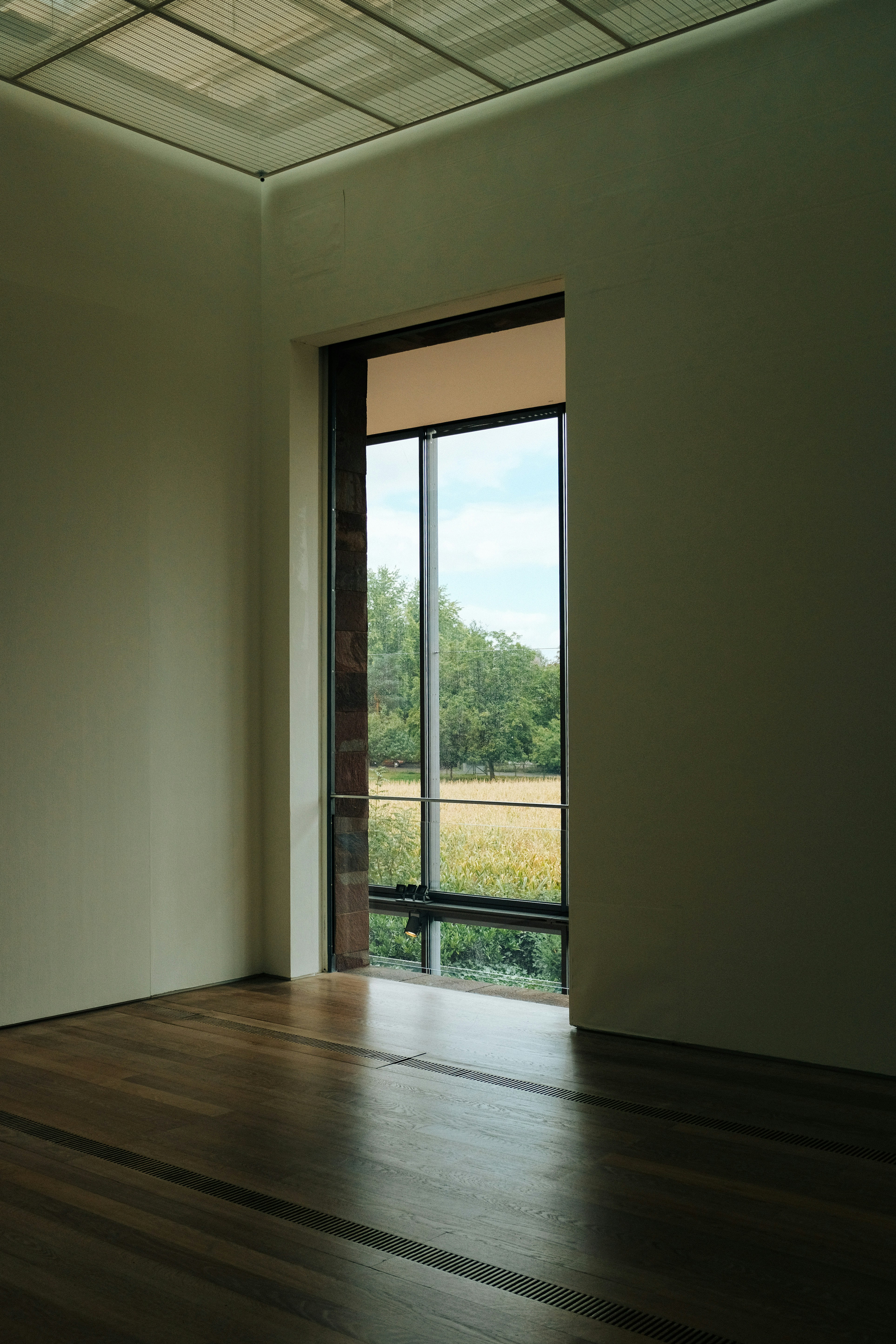 Photo by adrienolichon