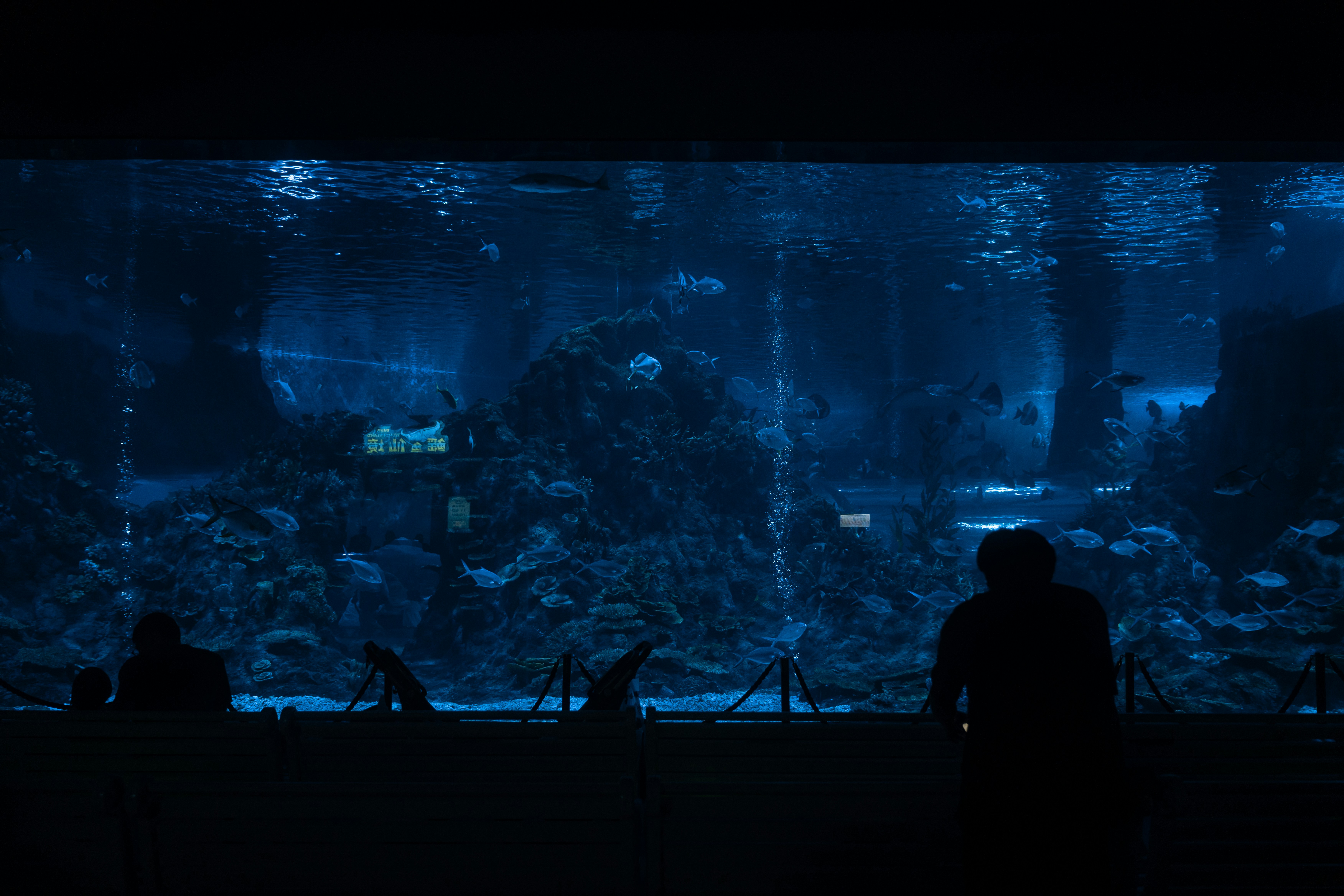 a group of people watching television in a dark room