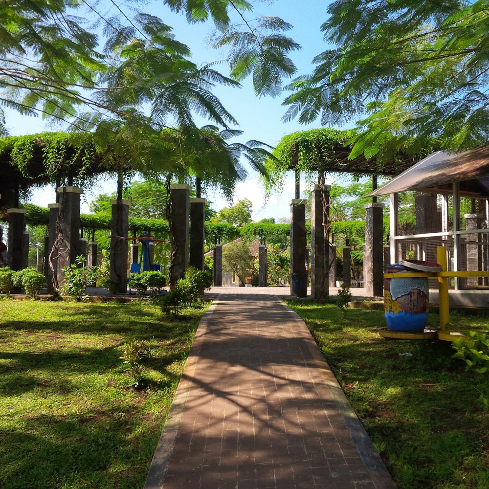 a path with trees and grass