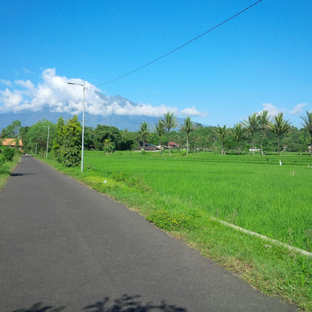 Natural landscape photo spot Salatiga Yogyakarta City