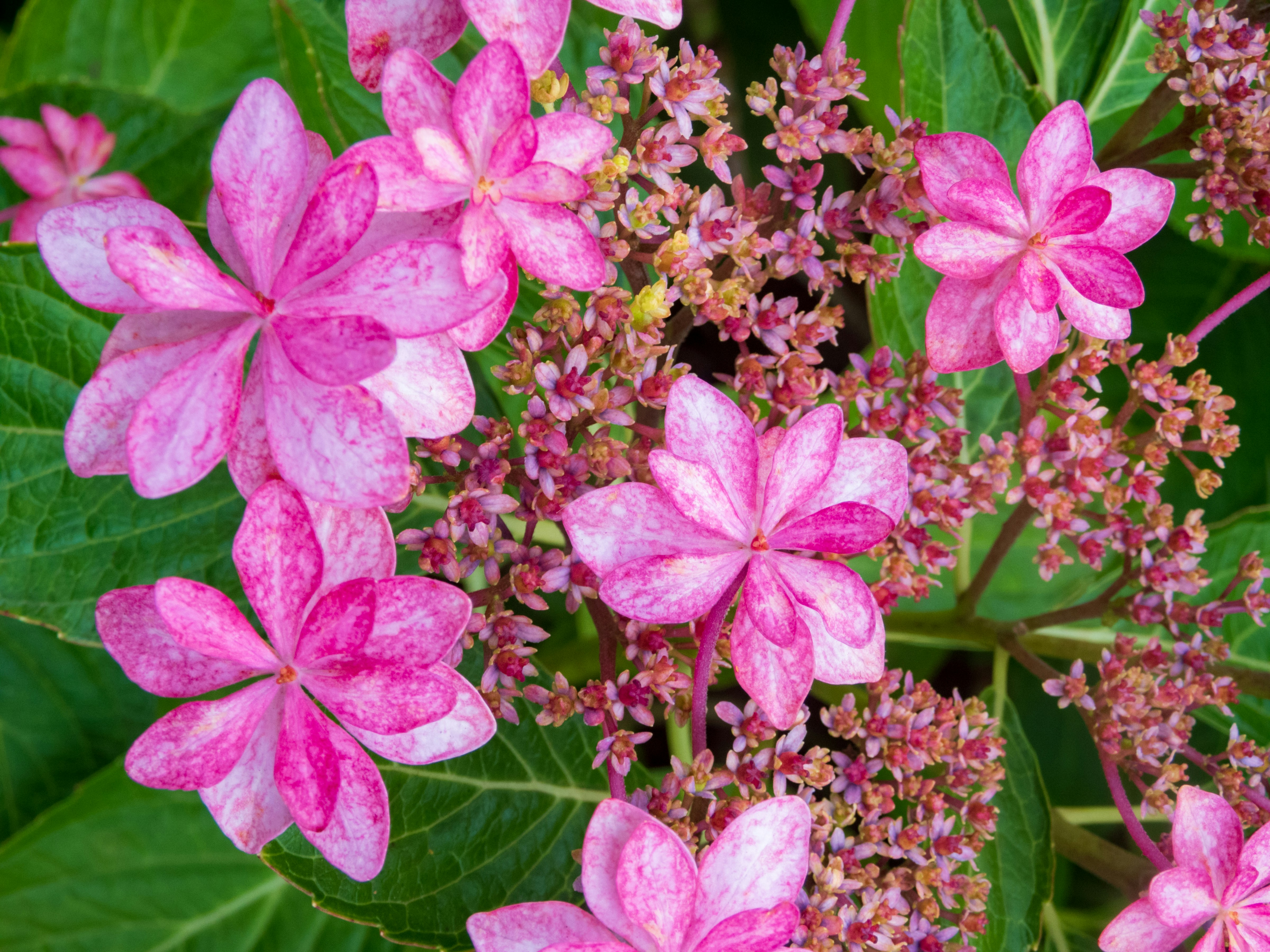 Photo by heppoko_yama