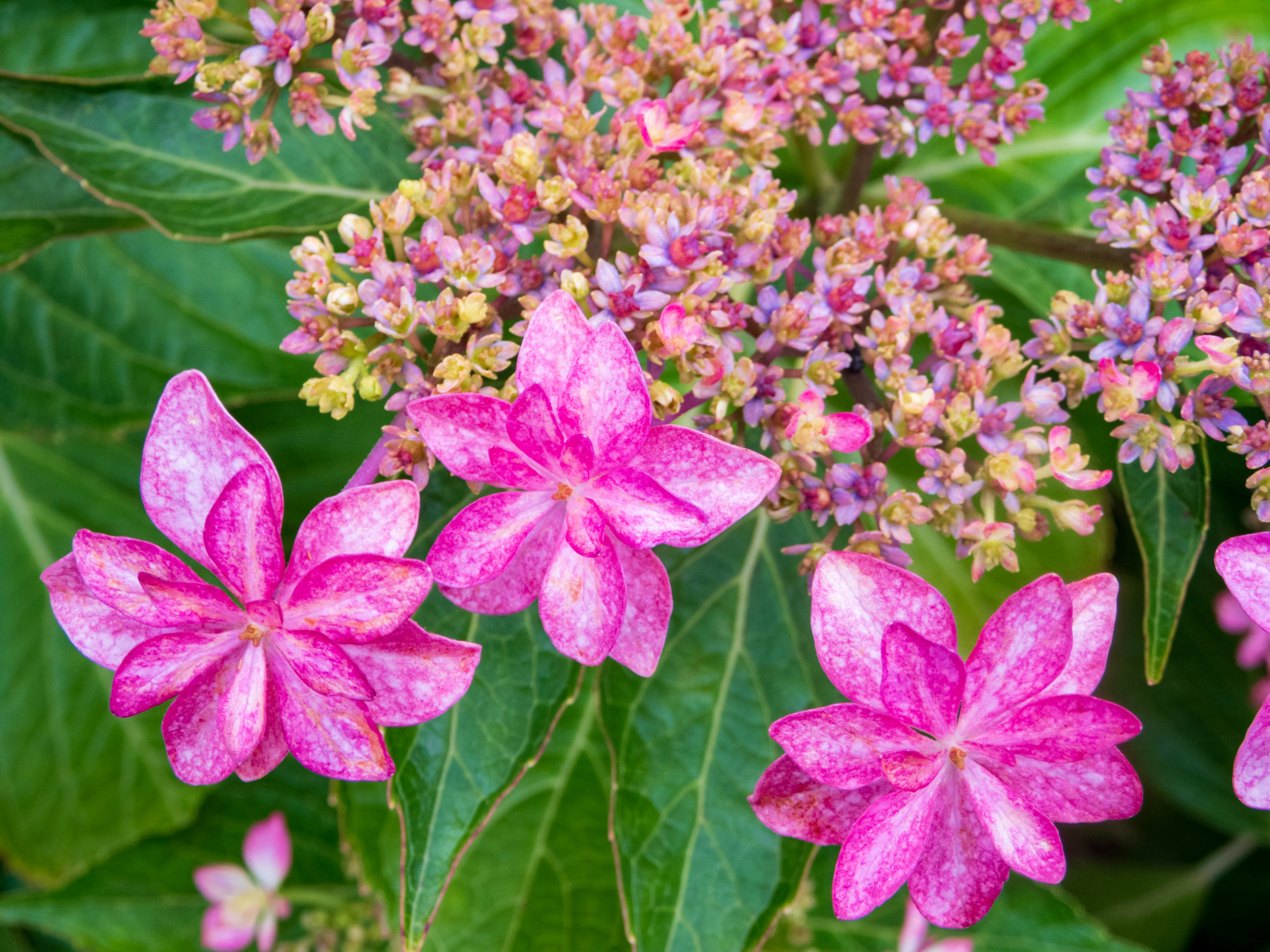 Photo by heppoko_yama