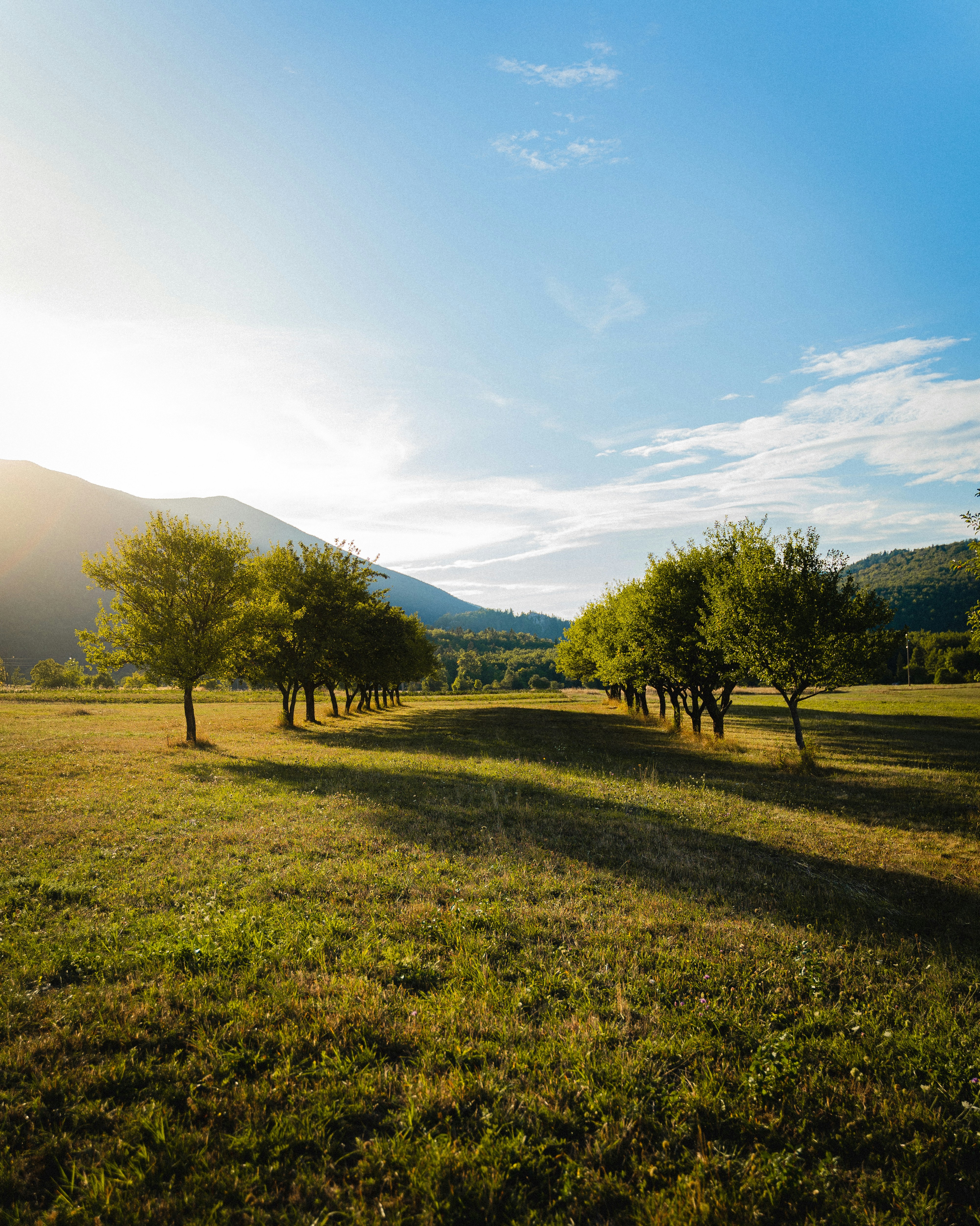 Photo by antesamarzija