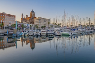 a group of boats in a harbor