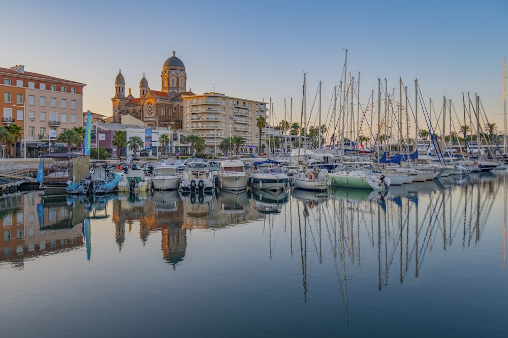 a group of boats in a harbor