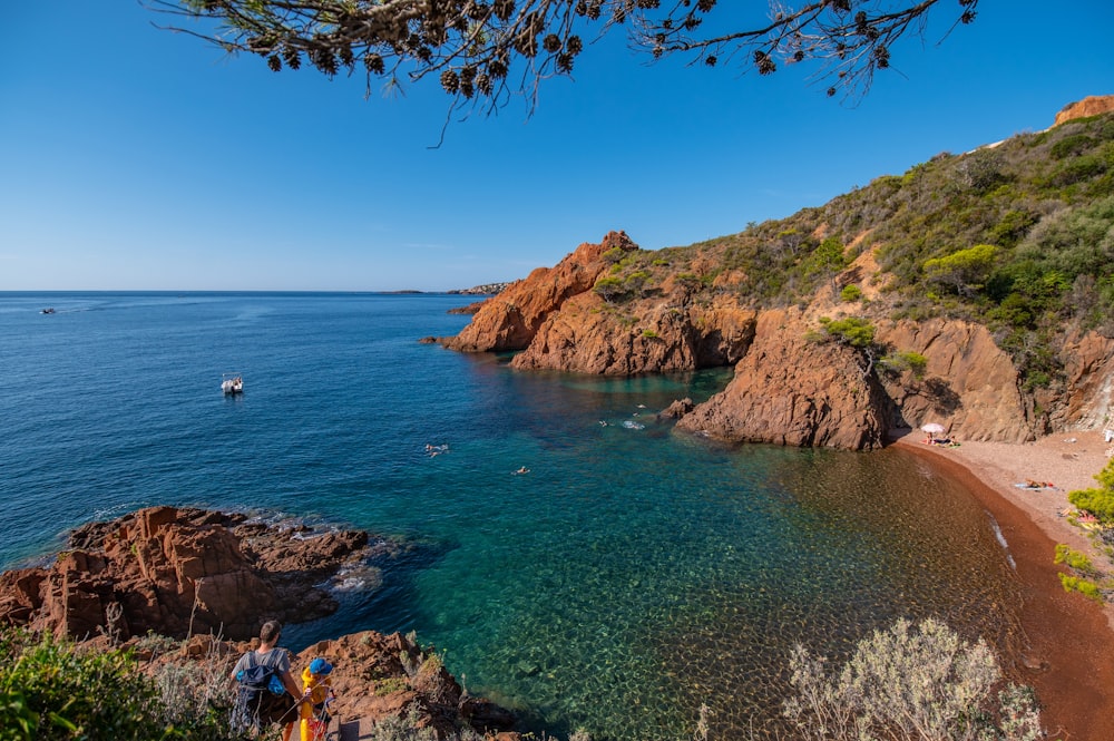 a beach with a body of water and a hill with a tree