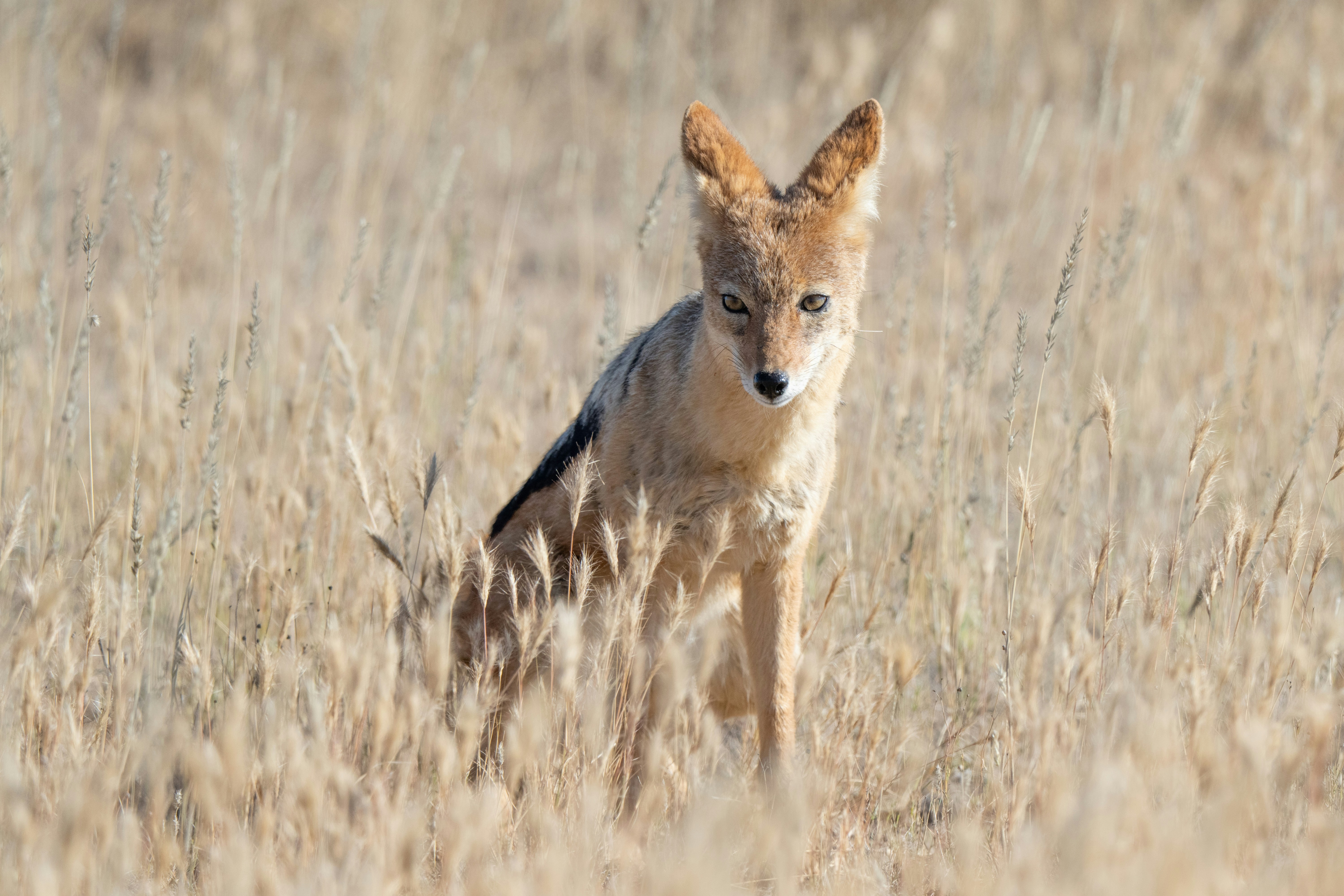 Photo by etiennescamera