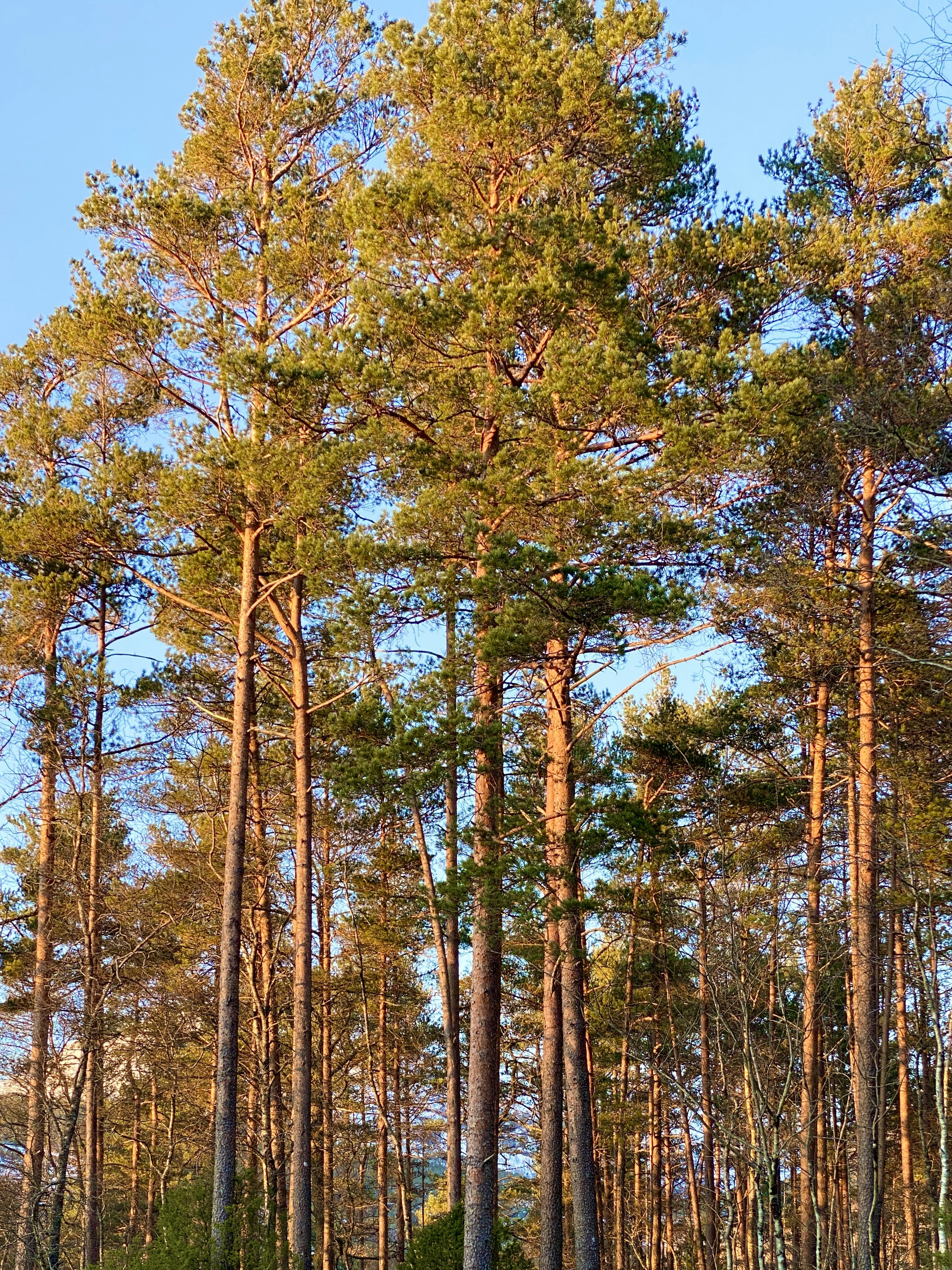 Photo by suphattratoemkrathok