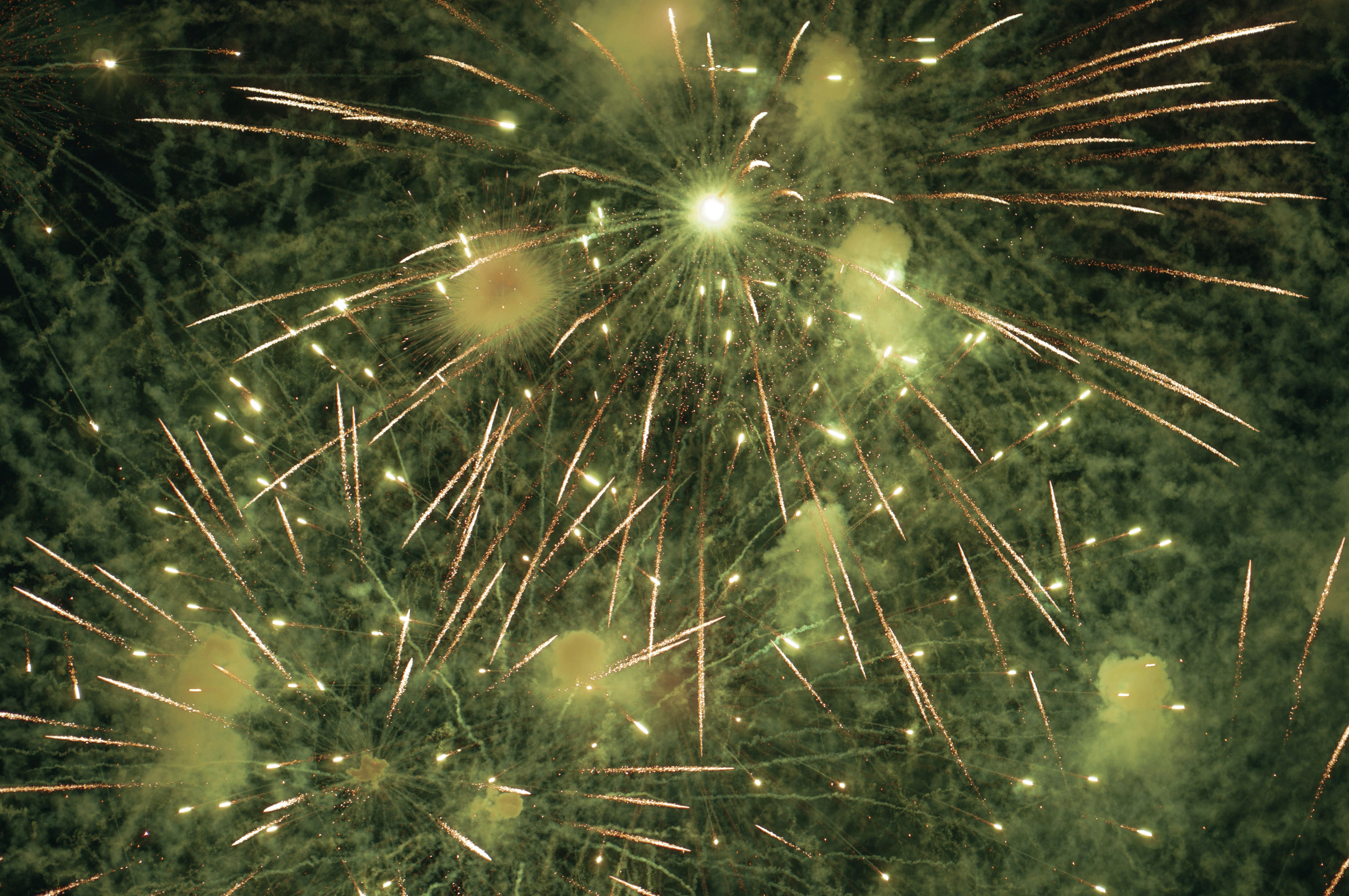 A tree with lights photo – Free Fireworks Image on Unsplash