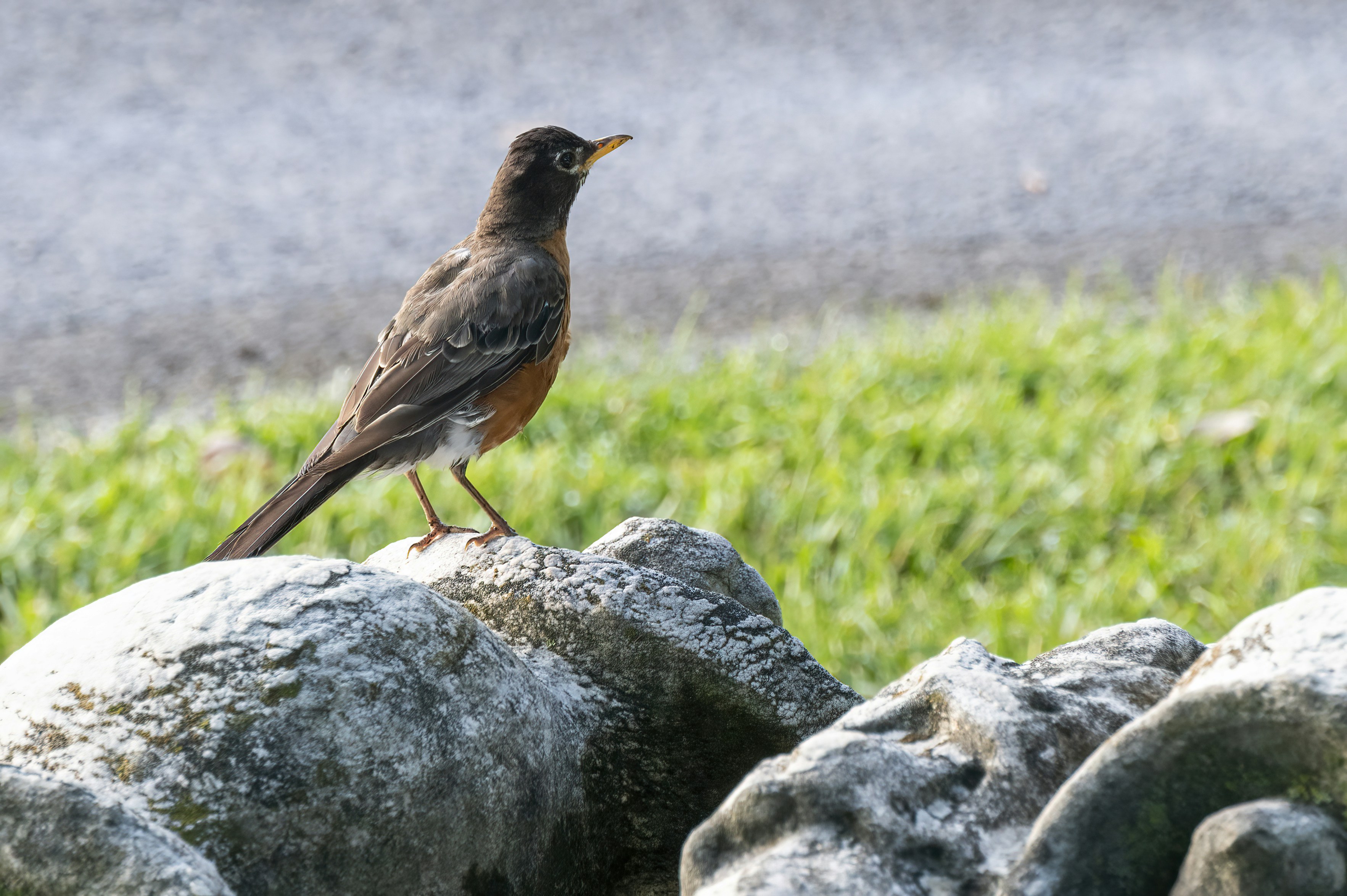 Photo by cholewinski