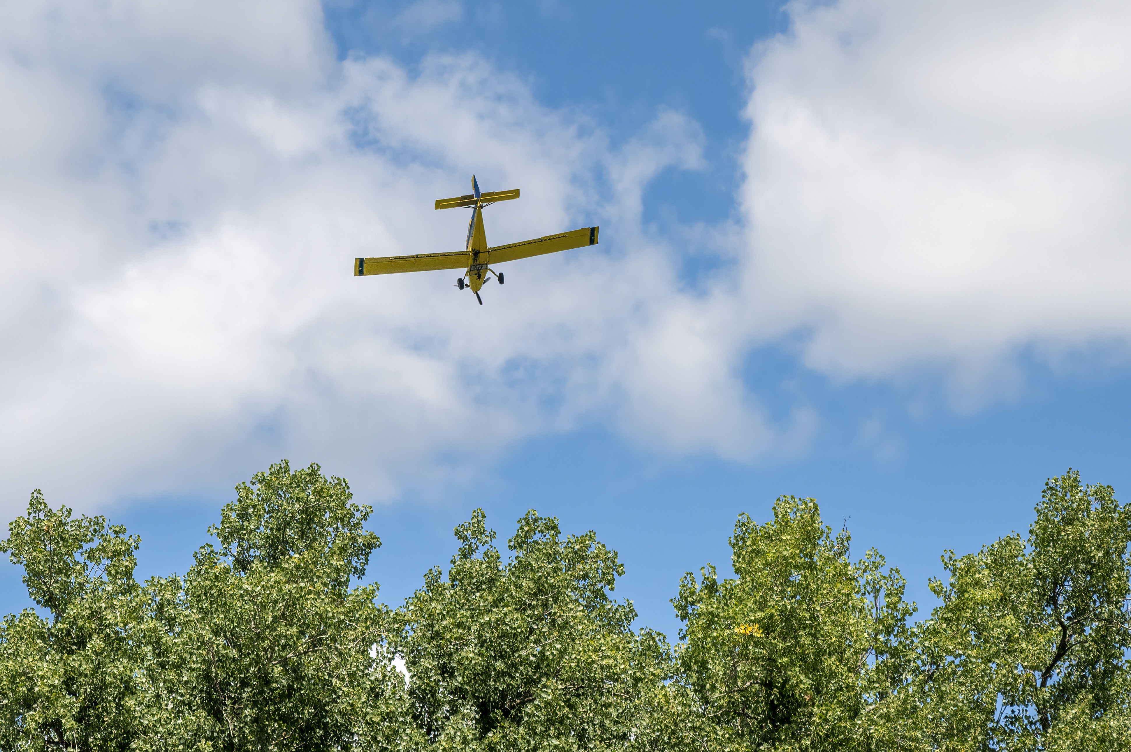 a plane flying over trees