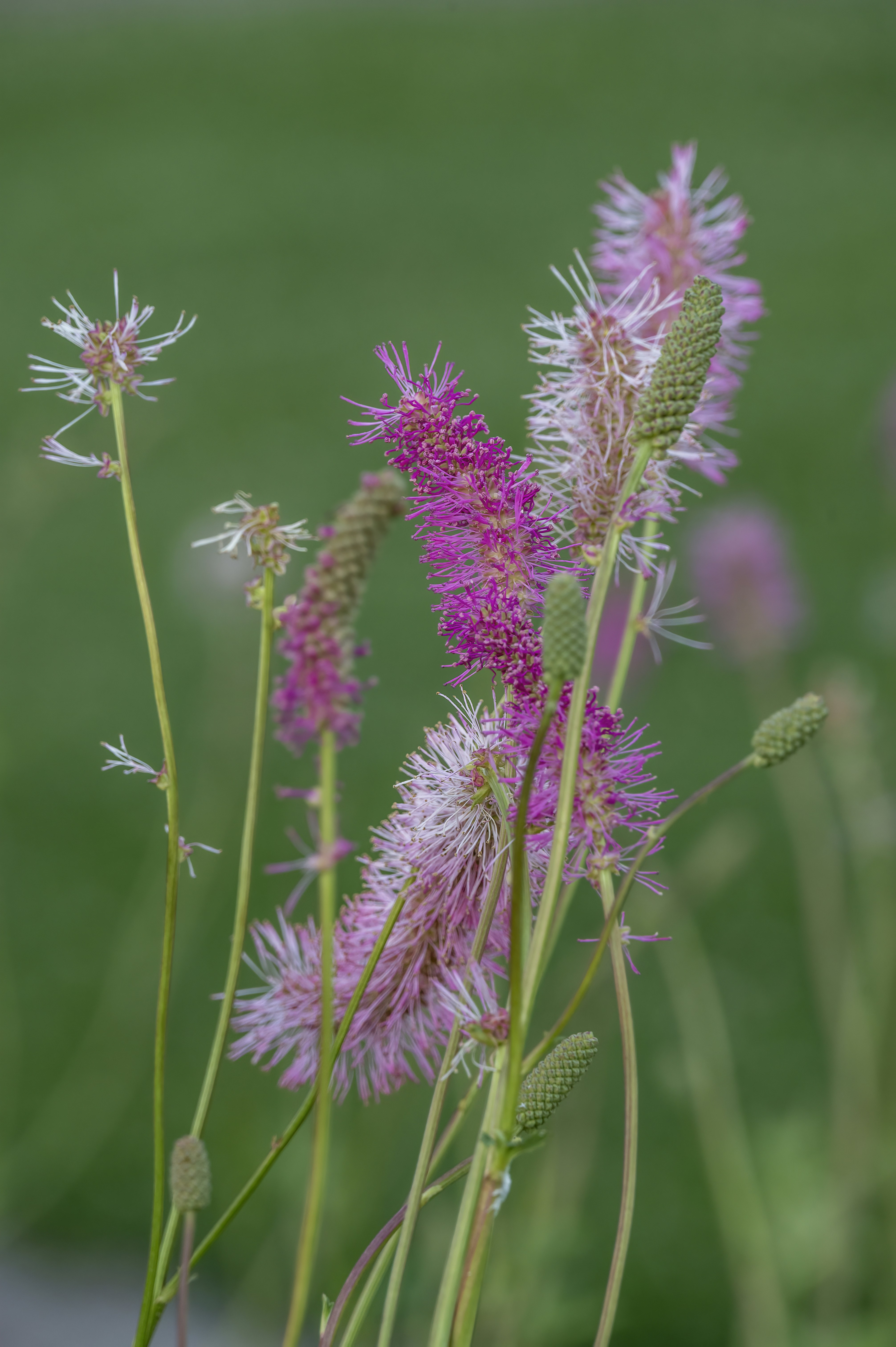 Photo by cholewinski