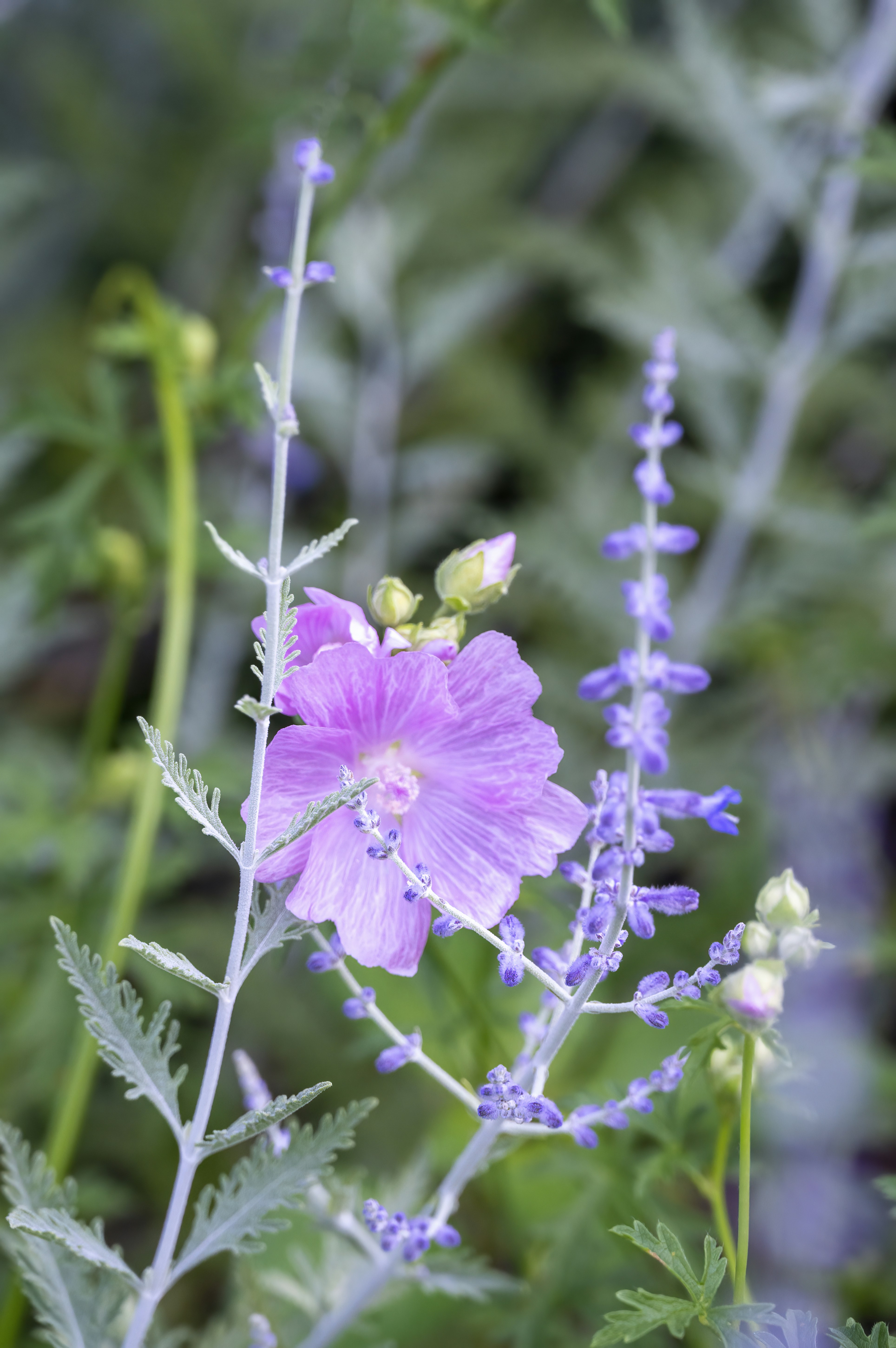 Photo by cholewinski