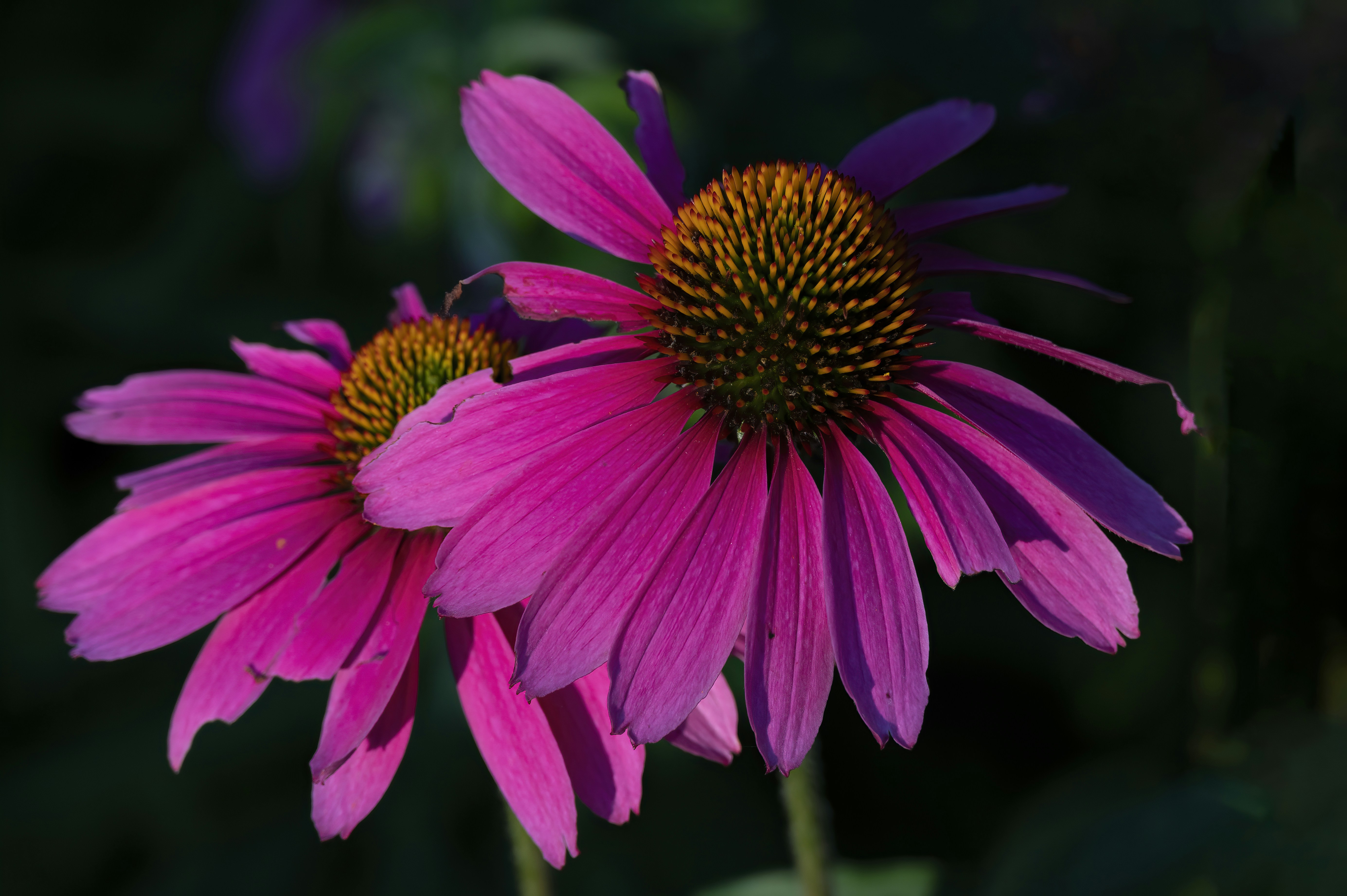 Photo by cholewinski