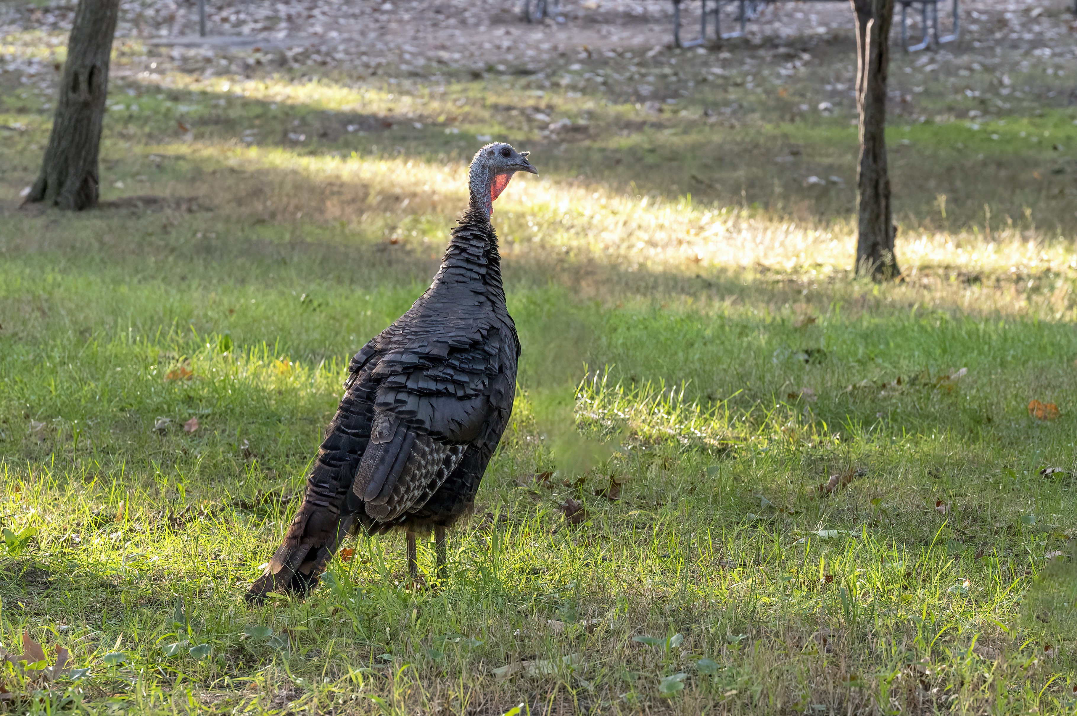 Photo by cholewinski