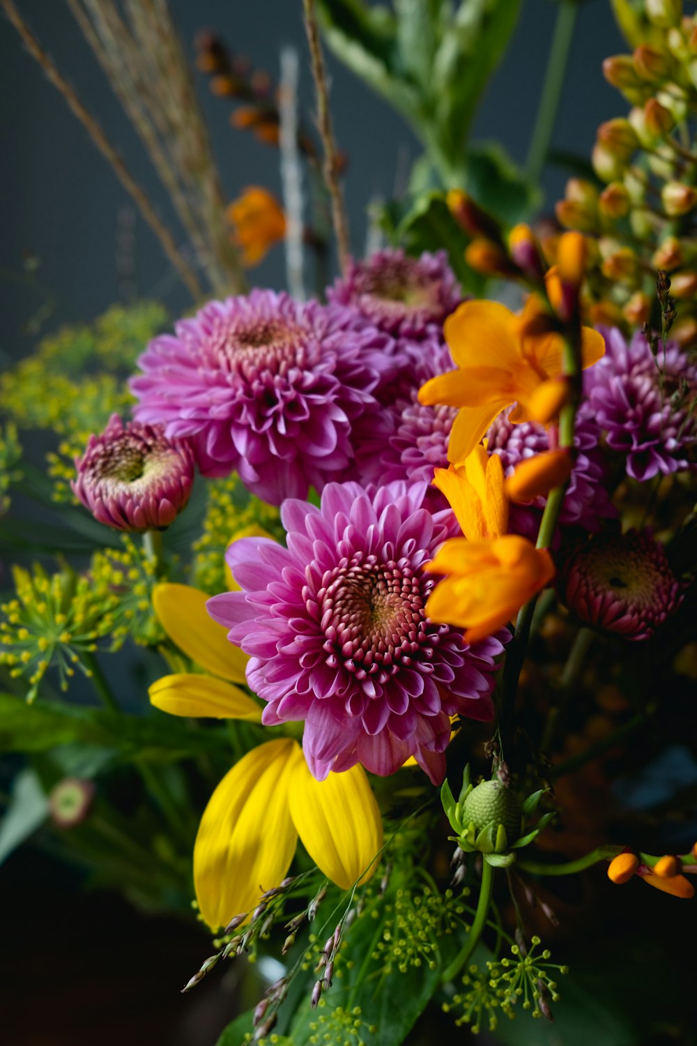 a group of flowers