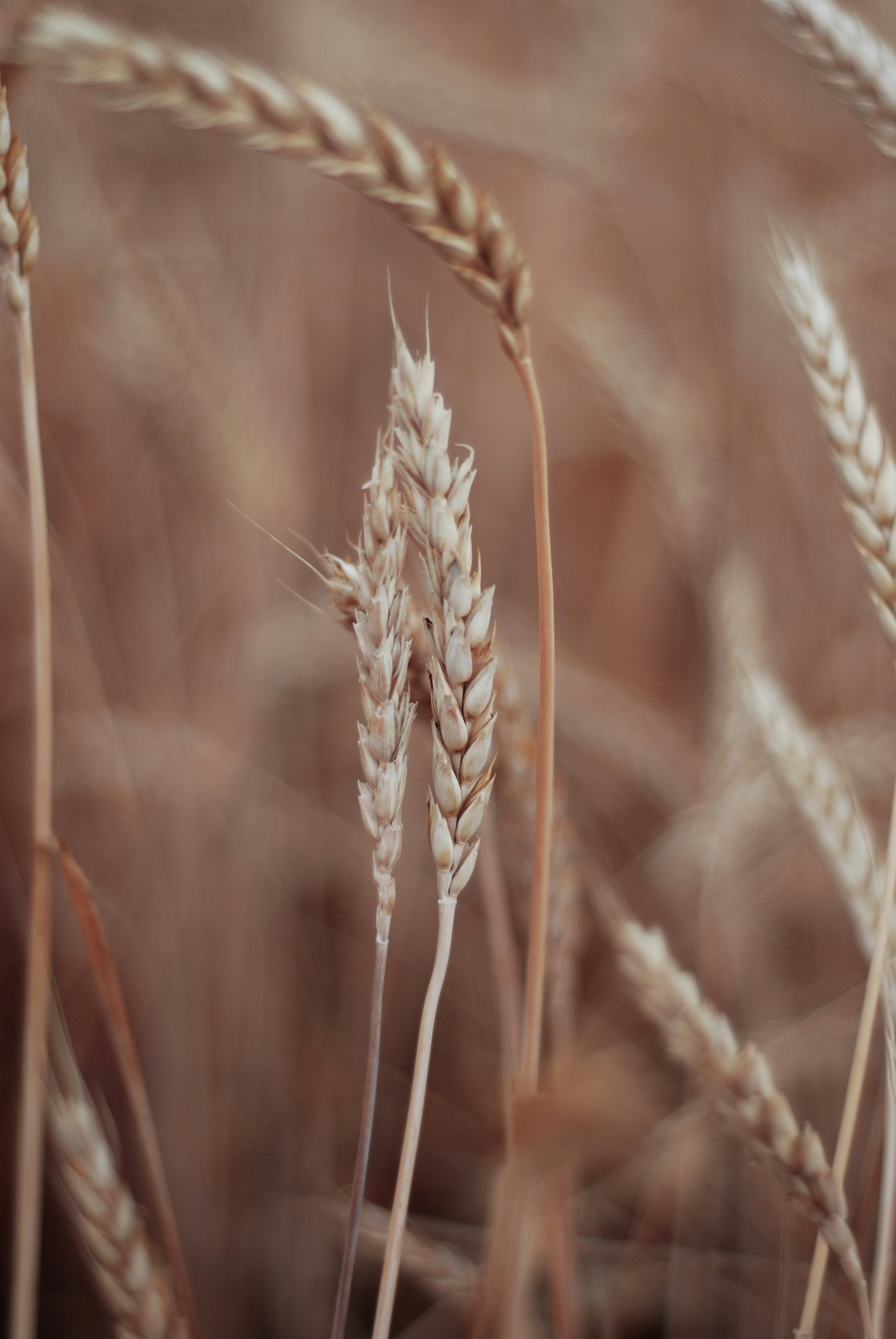 Photo by kovalskihelga