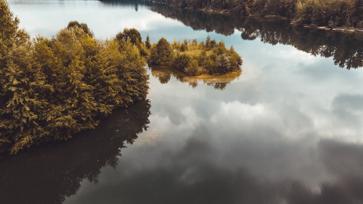photo by Pascal Scholl (@hghfve) on unsplash