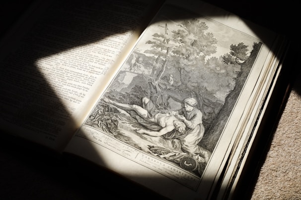 A warm illustration of a child reading a colorful Bible storybook under a tree with gentle sunlight.