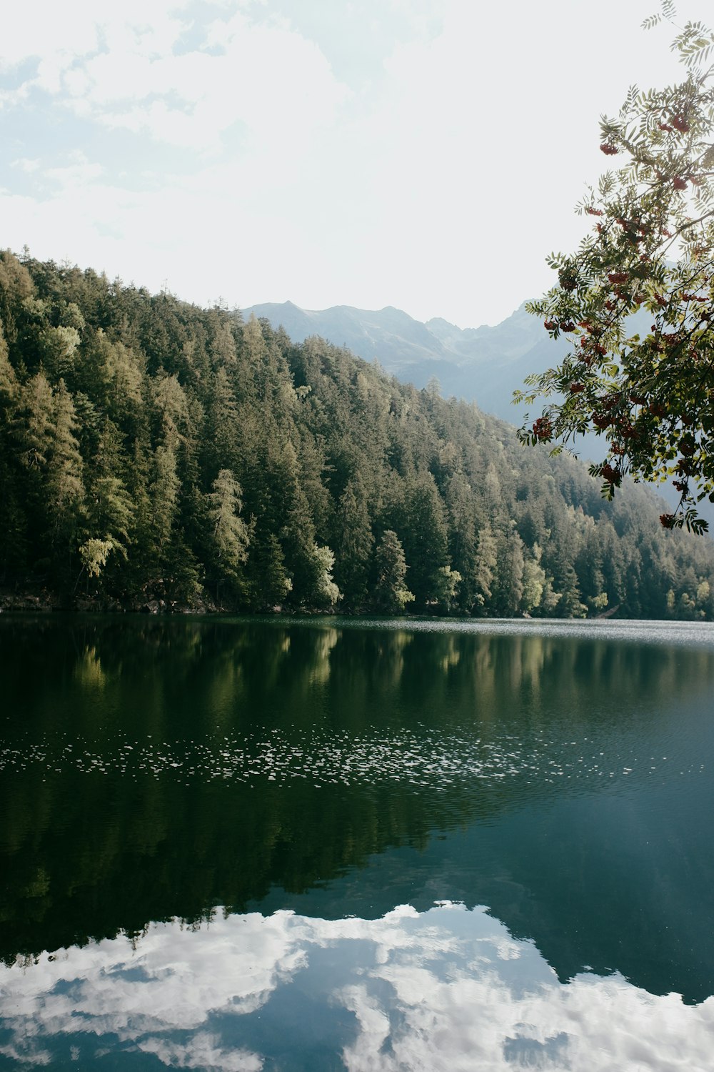 Un lago con alberi e montagne sullo sfondo