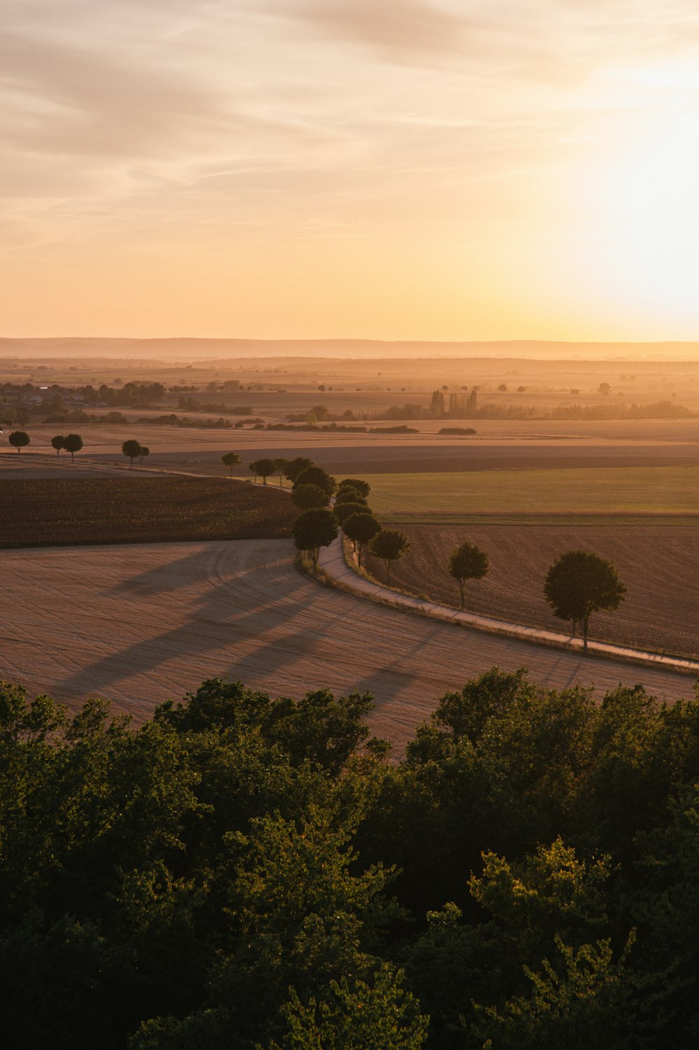 a large field with trees and a river running through it