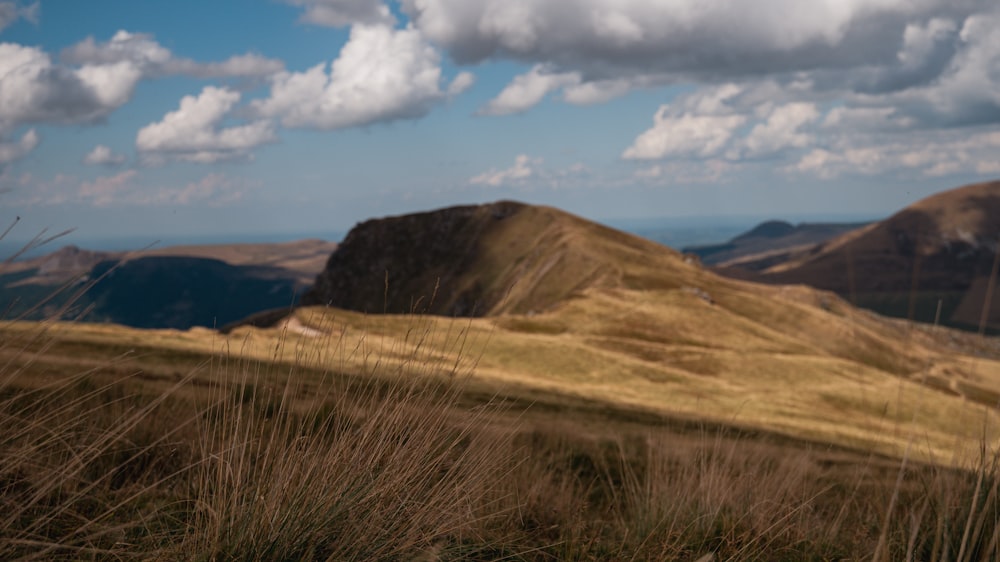 a grassy hill with hills in the background